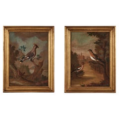 Pair Antique Avian Paintings