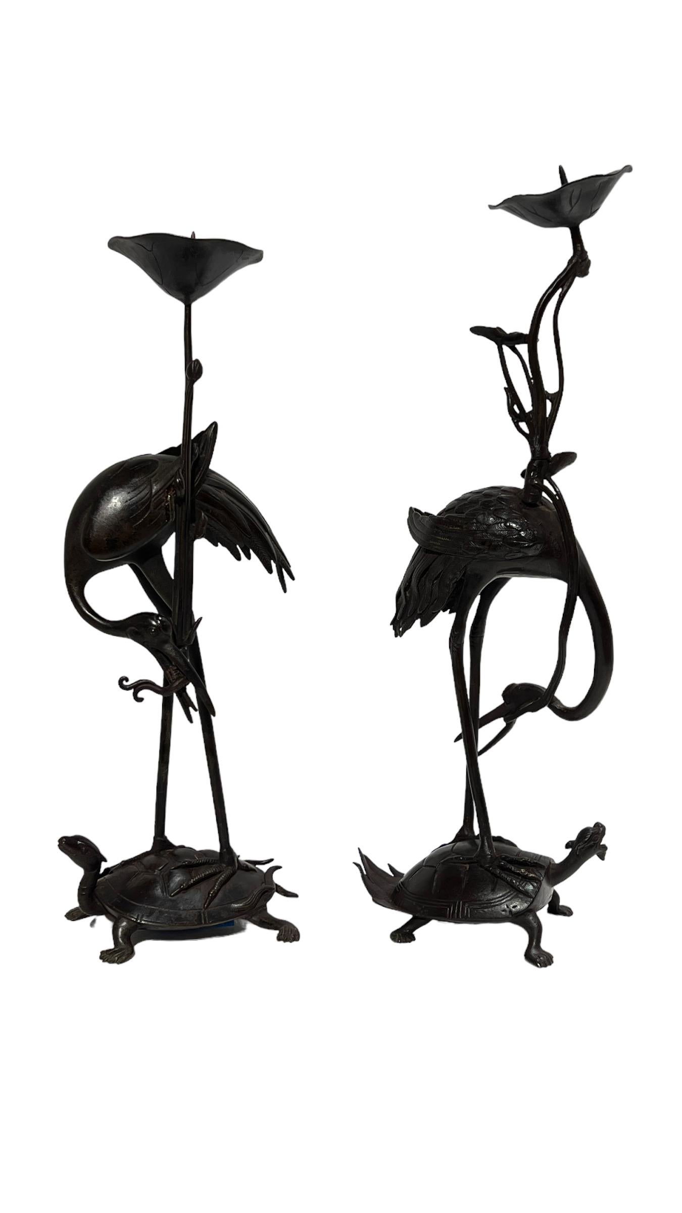 turtles crane