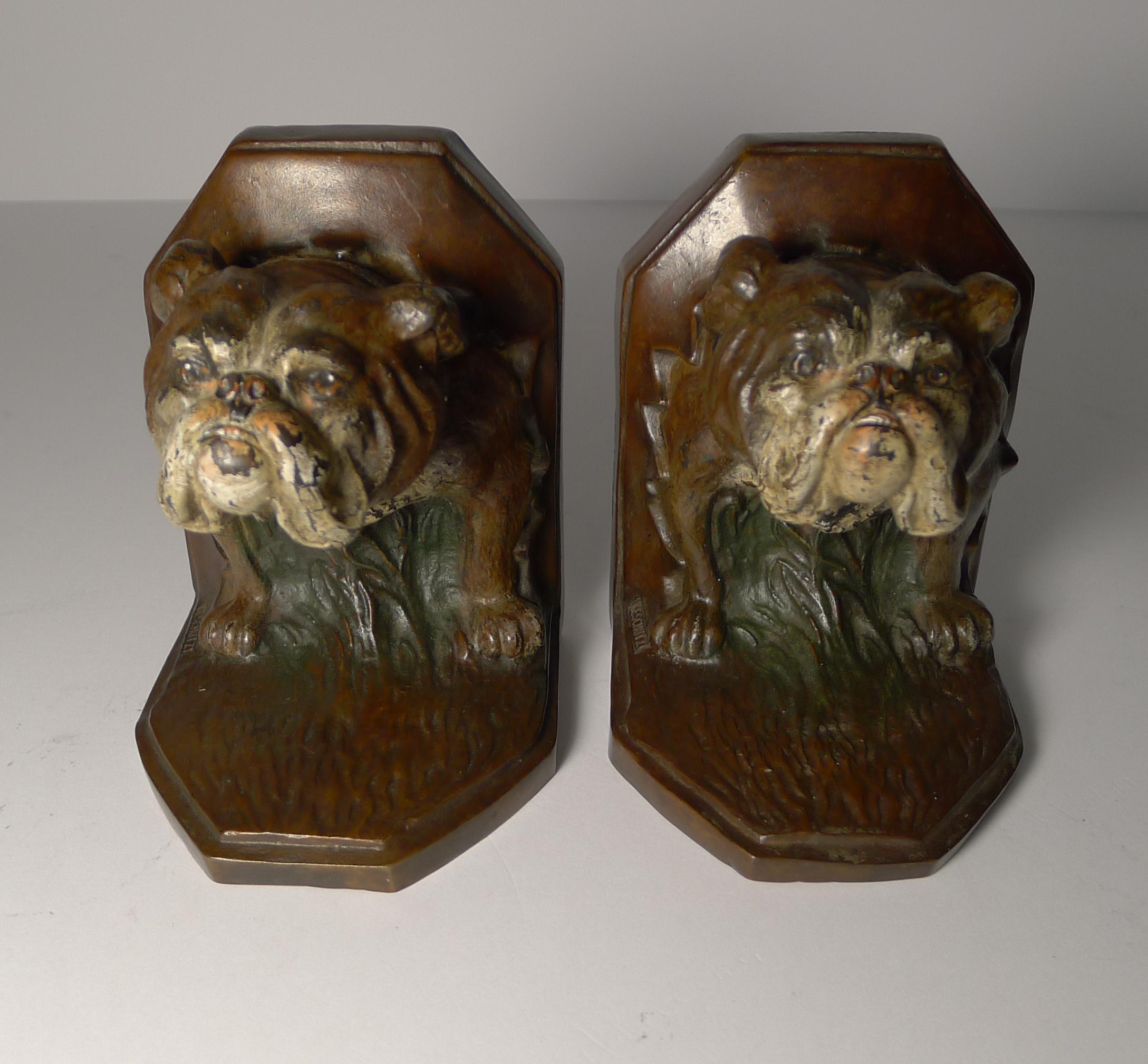 Un par muy fino de sujetalibros austriacos de bronce pintado en frío con un Bulldog Inglés en cada uno, bellamente ejecutados y fechados hacia 1900.

Marcado 