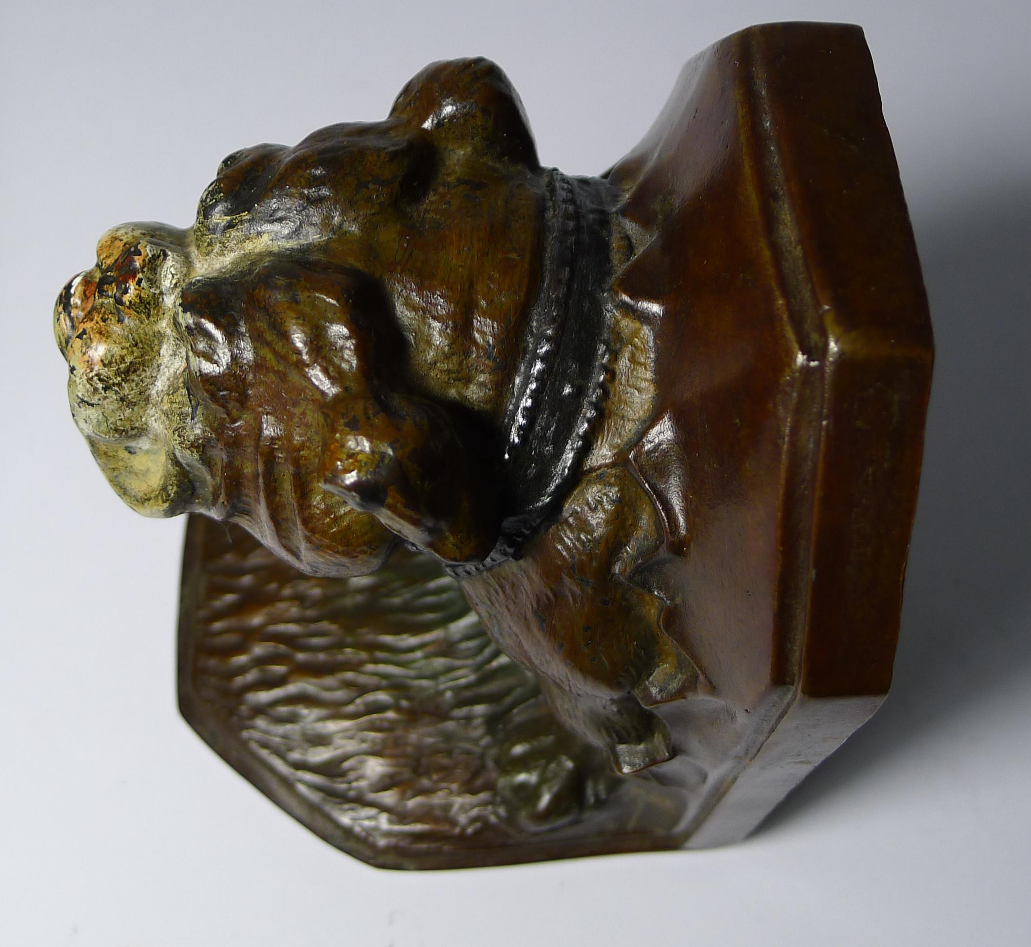 Par de Sujetalibros Antiguos de Bronce Pintado en Frío, Bulldog, circa 1900 principios del siglo XX en venta