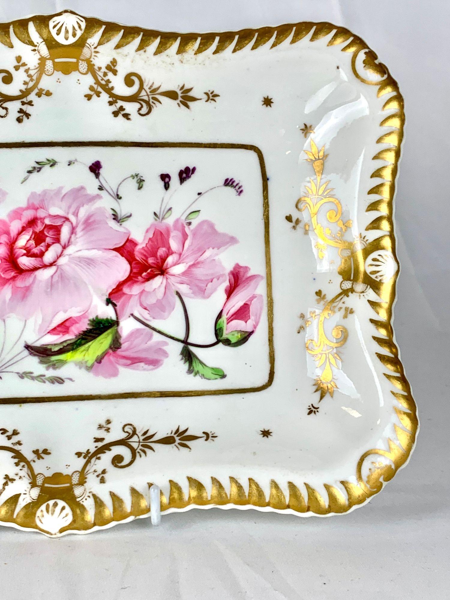 Paire de plats botaniques anglais anciens peints à la main vers 1830 en vente 3