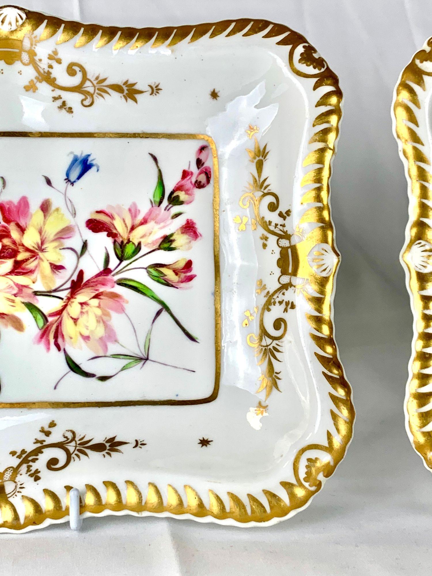 Paire de plats botaniques anglais anciens peints à la main vers 1830 en vente 1