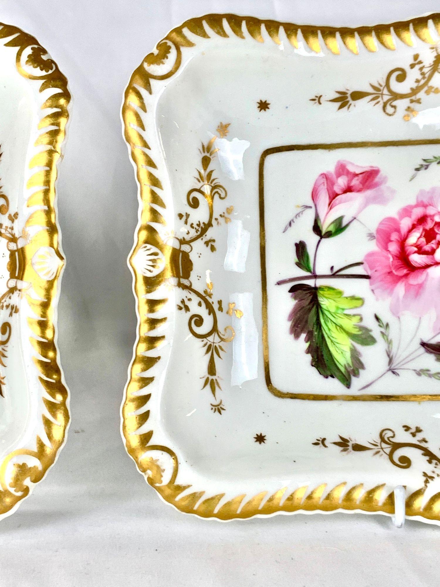 Paire de plats botaniques anglais anciens peints à la main vers 1830 en vente 2
