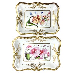 Pair Antique English Porcelain Botanical Dishes Hand Painted Circa 1830