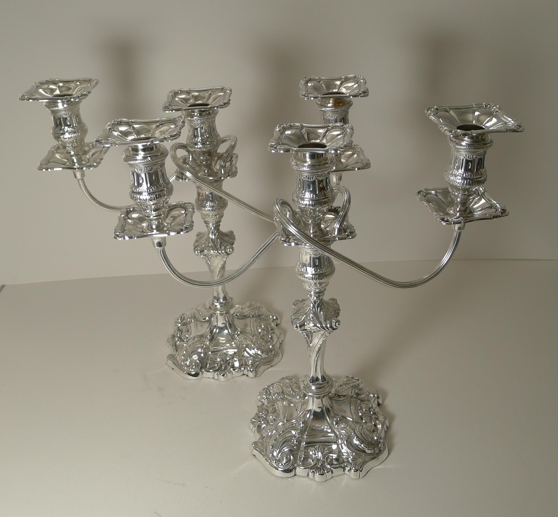 Pair Antique English Silver Plated Candelabra by Jenkins & Timm, c.1900 6