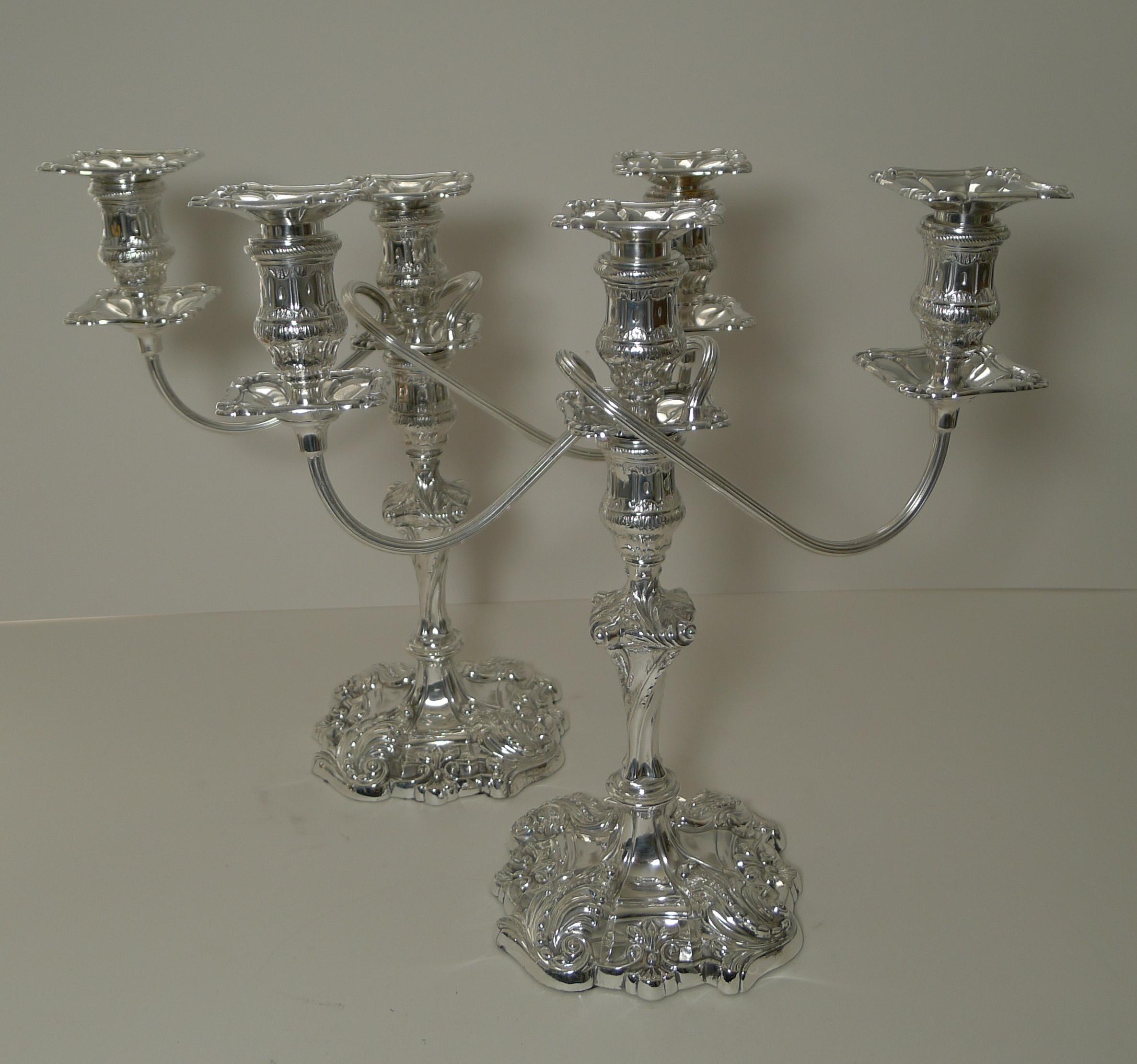 Pair Antique English Silver Plated Candelabra by Jenkins & Timm, c.1900 3