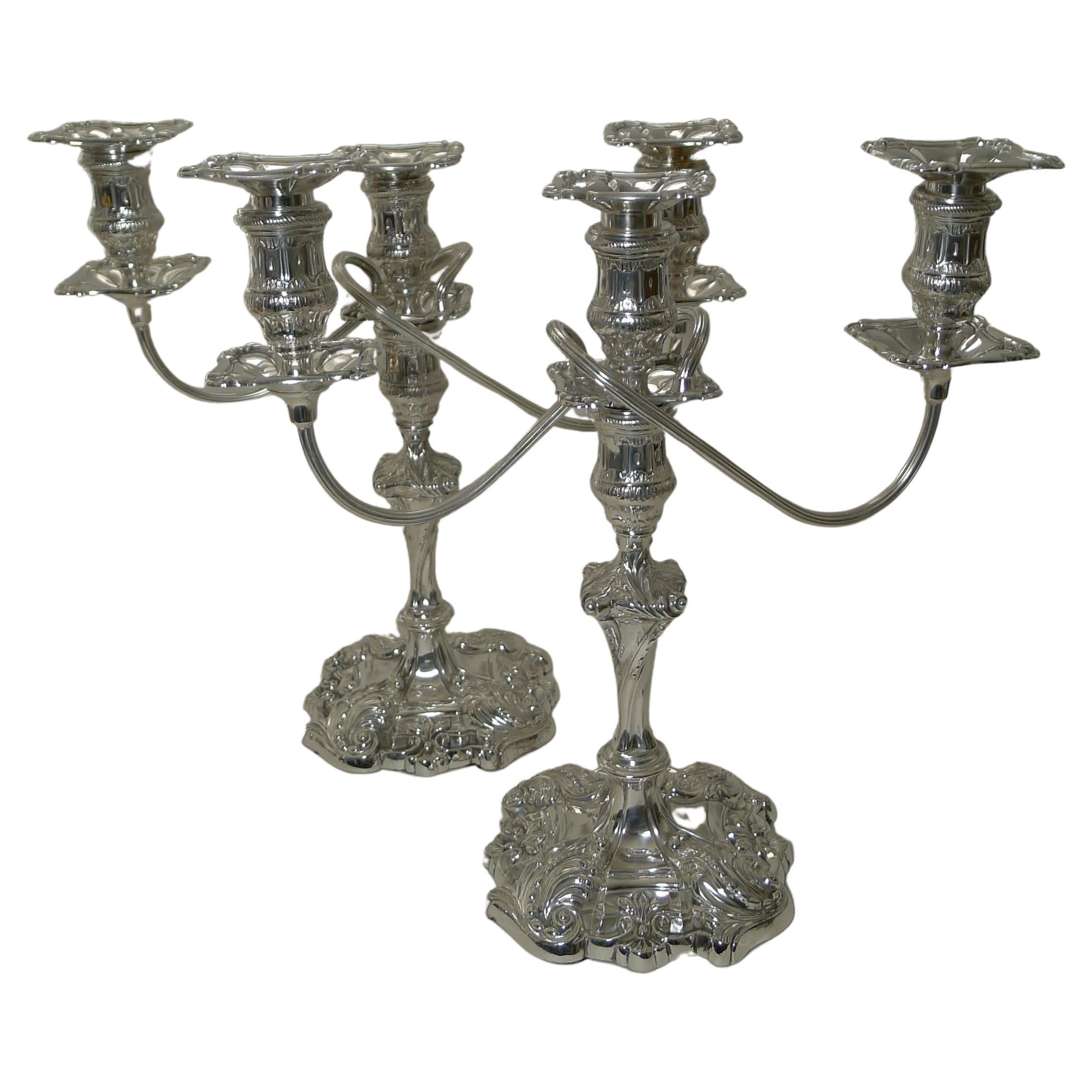 Pair Antique English Silver Plated Candelabra by Jenkins & Timm, c.1900