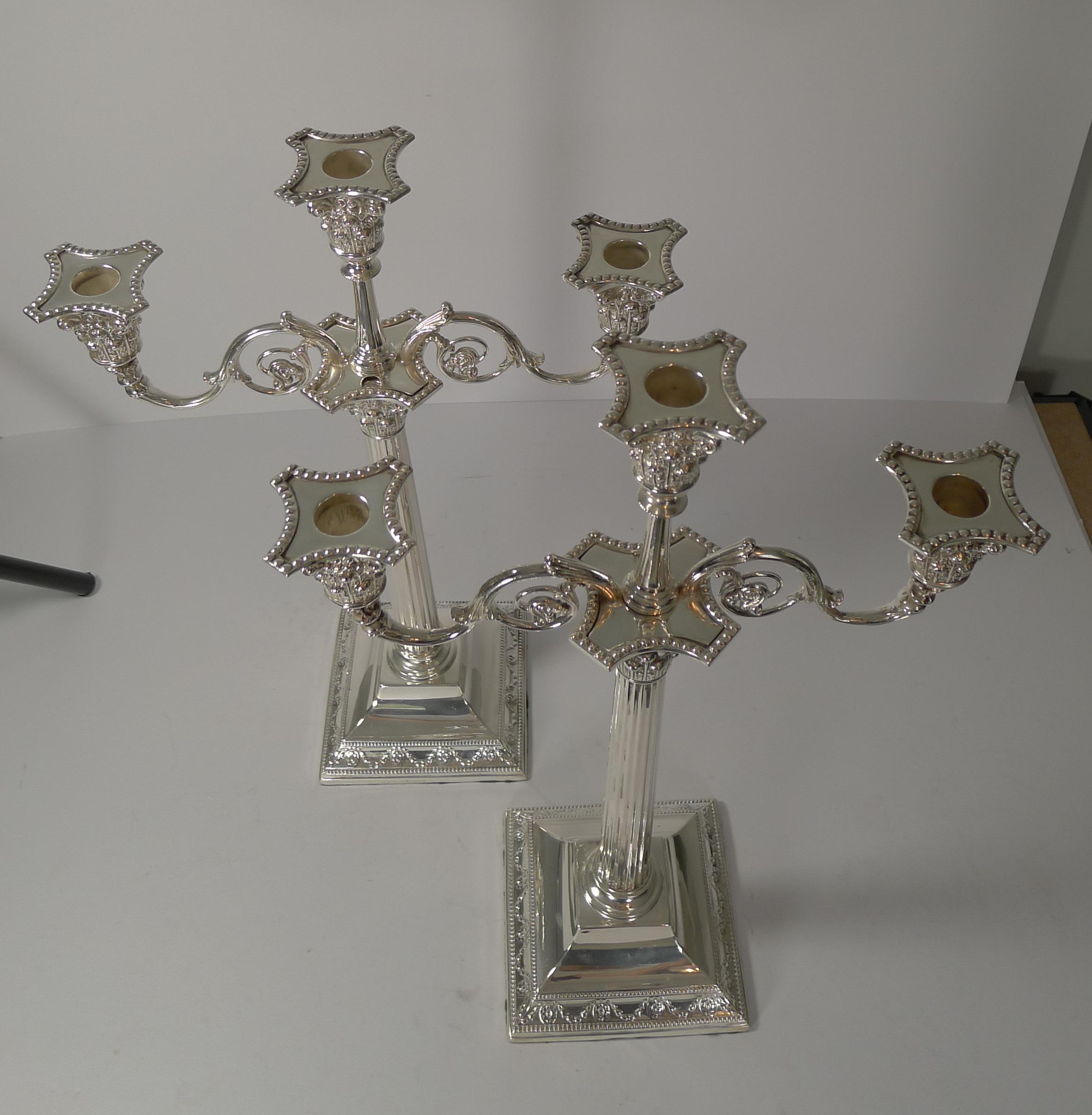 A magnificent pair of 19th century three light candelabra, tall and elegant with heavy weighted bases for stability.

The arms can be removed, two of the drip trays fitted into the bases and then you have a wonderful classic pair of Adams style