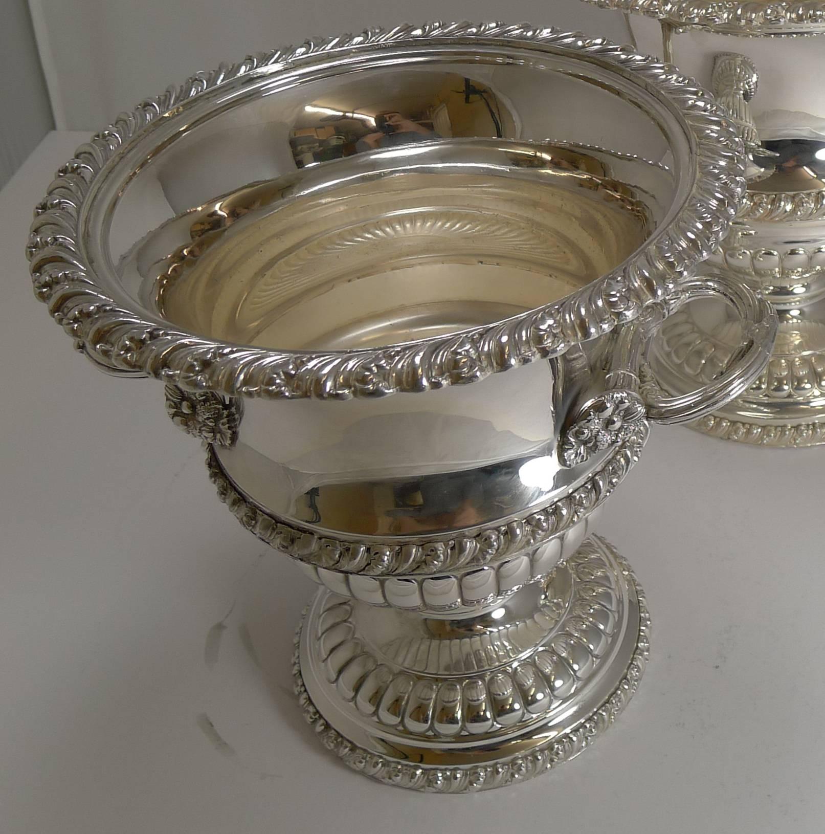 Early 20th Century Pair of Antique English Silver Plated Wine or Champagne Coolers, circa 1900