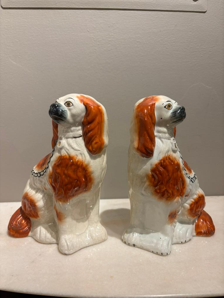 Paire d'épagneuls Staffordshire King Charles du 19e siècle en céramique à regard victorien, avec de belles couleurs. Chacun avec un cadenas sur le collier avec des traces de dorure, et une laisse en chaîne noire. Tous deux assis, ils regardent le