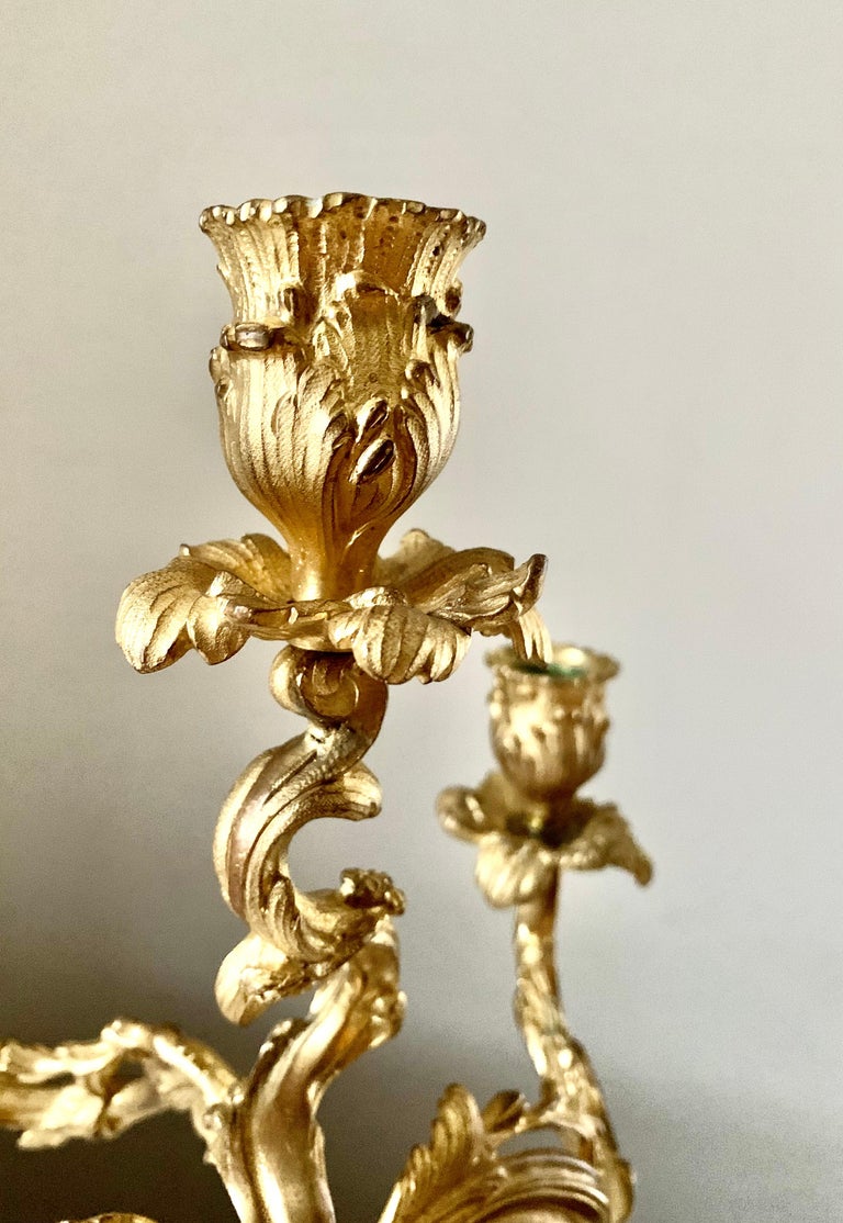 Pair Antique French 19th Century Gilt Bronze Louis XV Style Candelabra For Sale 8