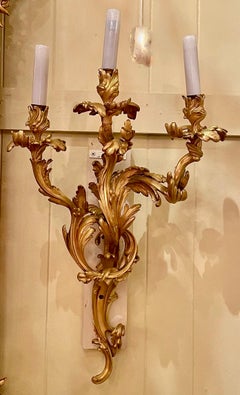 Pair Antique French Louis XV Style Bronze D'Oré Wall Sconces, Circa 1890.