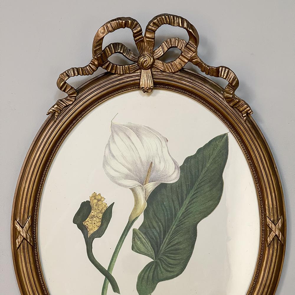Hand-Painted Pair Antique French Neoclassically Framed Botanical Lithographs by J.W. Penfold