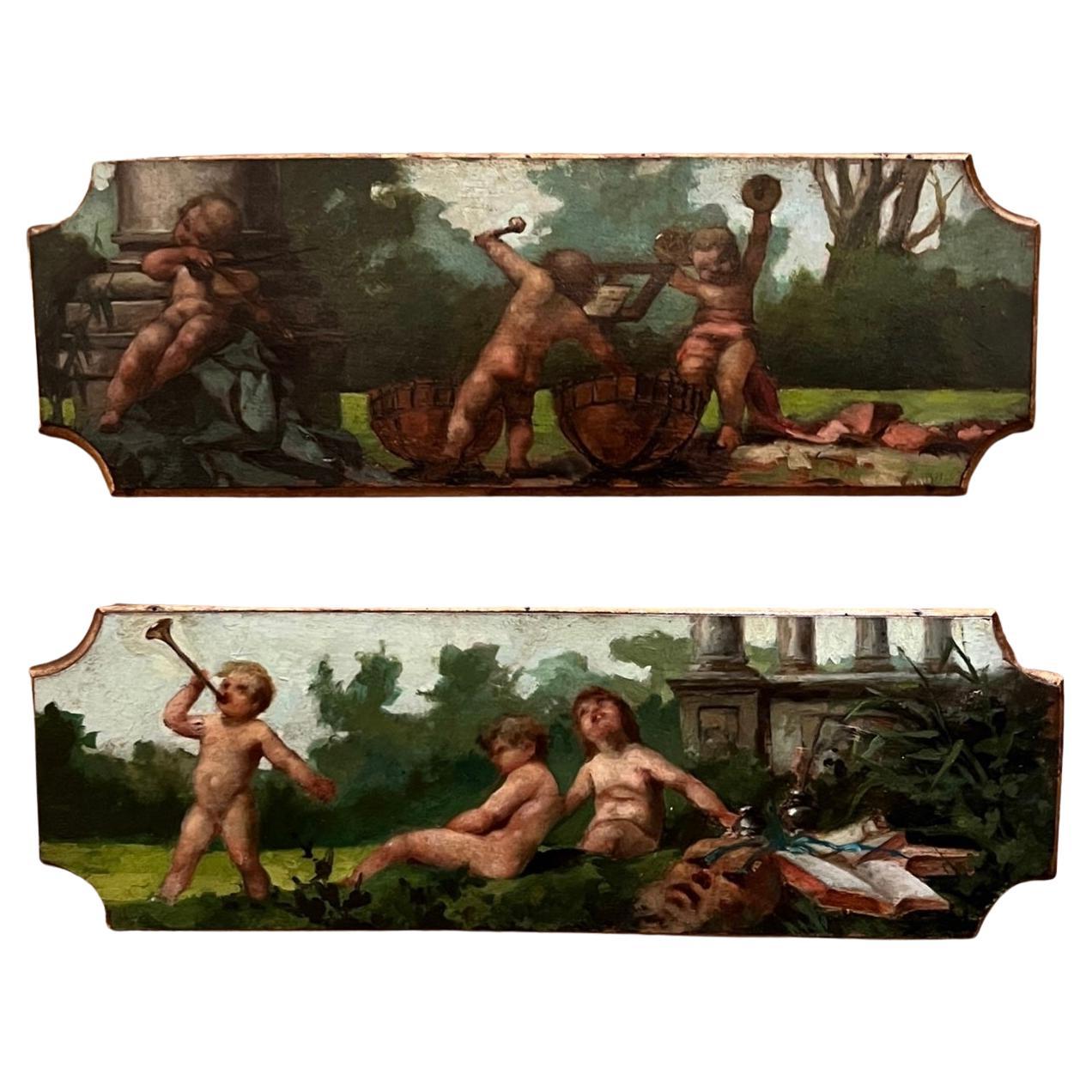 Pair Antique French Painted Panels For Sale
