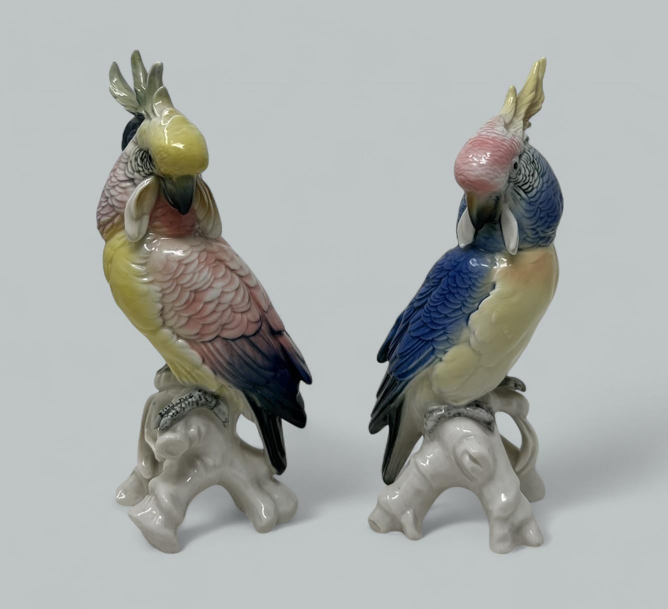 Pareja de figuras emplumadas de loros de porcelana alemana Karl Ens, de calidad excepcional y gran detalle, de tamaño bastante generoso, finales del siglo XIX, principios del XX.  

Modelados en posiciones opuestas, firmemente encaramados a