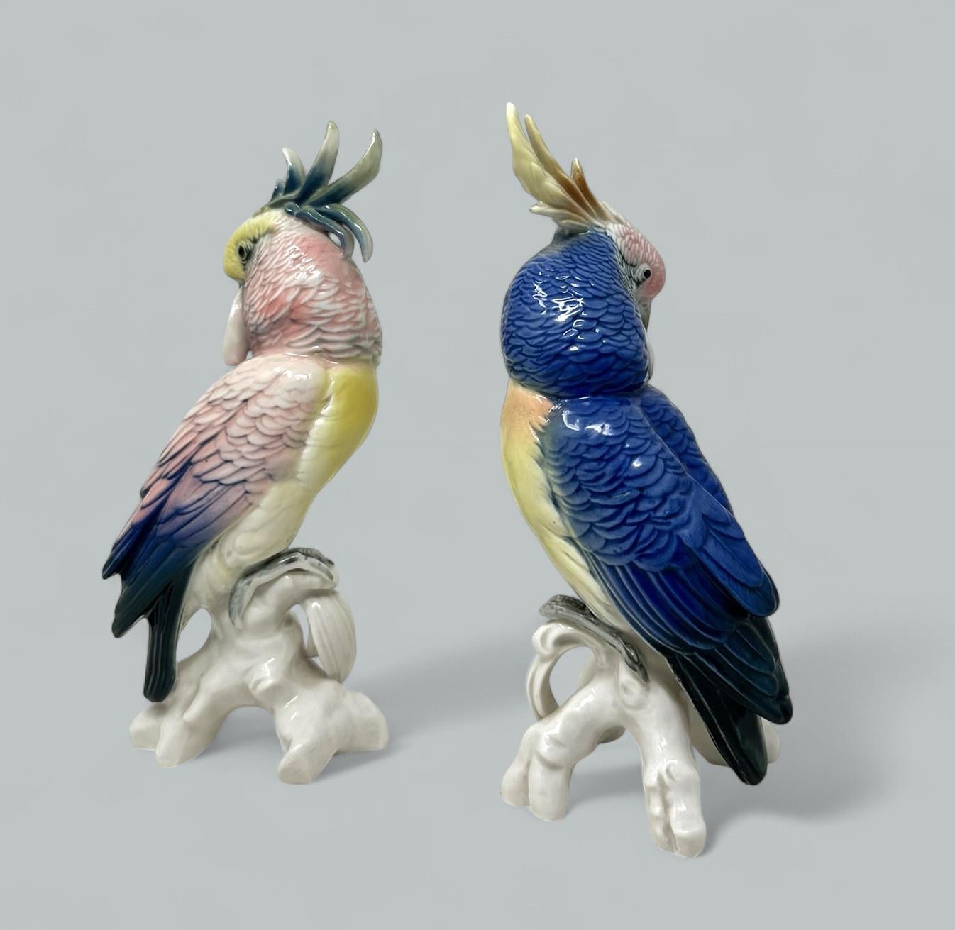 Pareja Aves Porcelana Alemana Antigua Periquitos Cacatúas Cacatúas Loros Karl Ens Alemán en venta