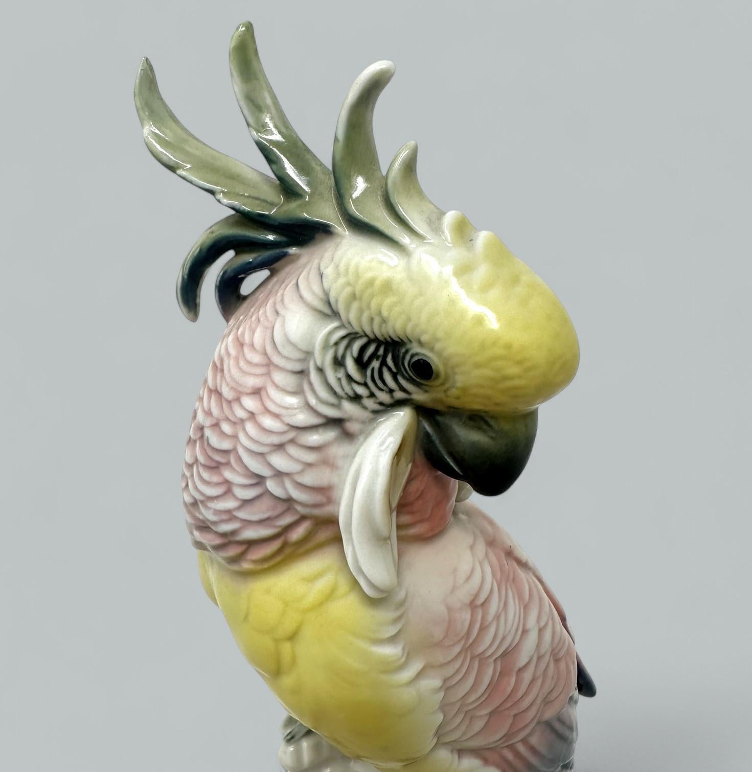 Pareja Aves Porcelana Alemana Antigua Periquitos Cacatúas Cacatúas Loros Karl Ens Pintado a mano en venta