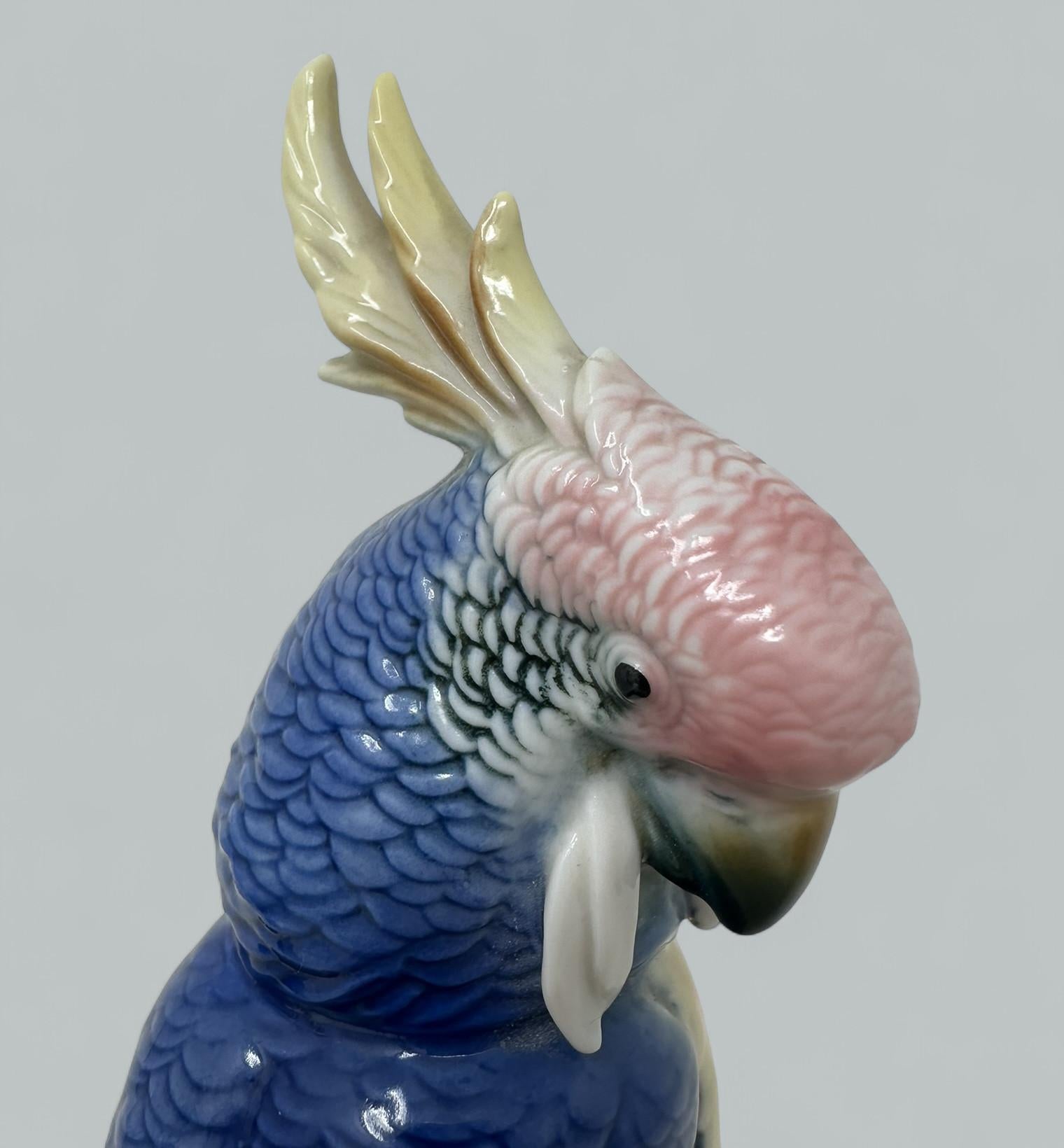 Pareja Aves Porcelana Alemana Antigua Periquitos Cacatúas Cacatúas Loros Karl Ens en Bueno estado para la venta en Dublin, Ireland
