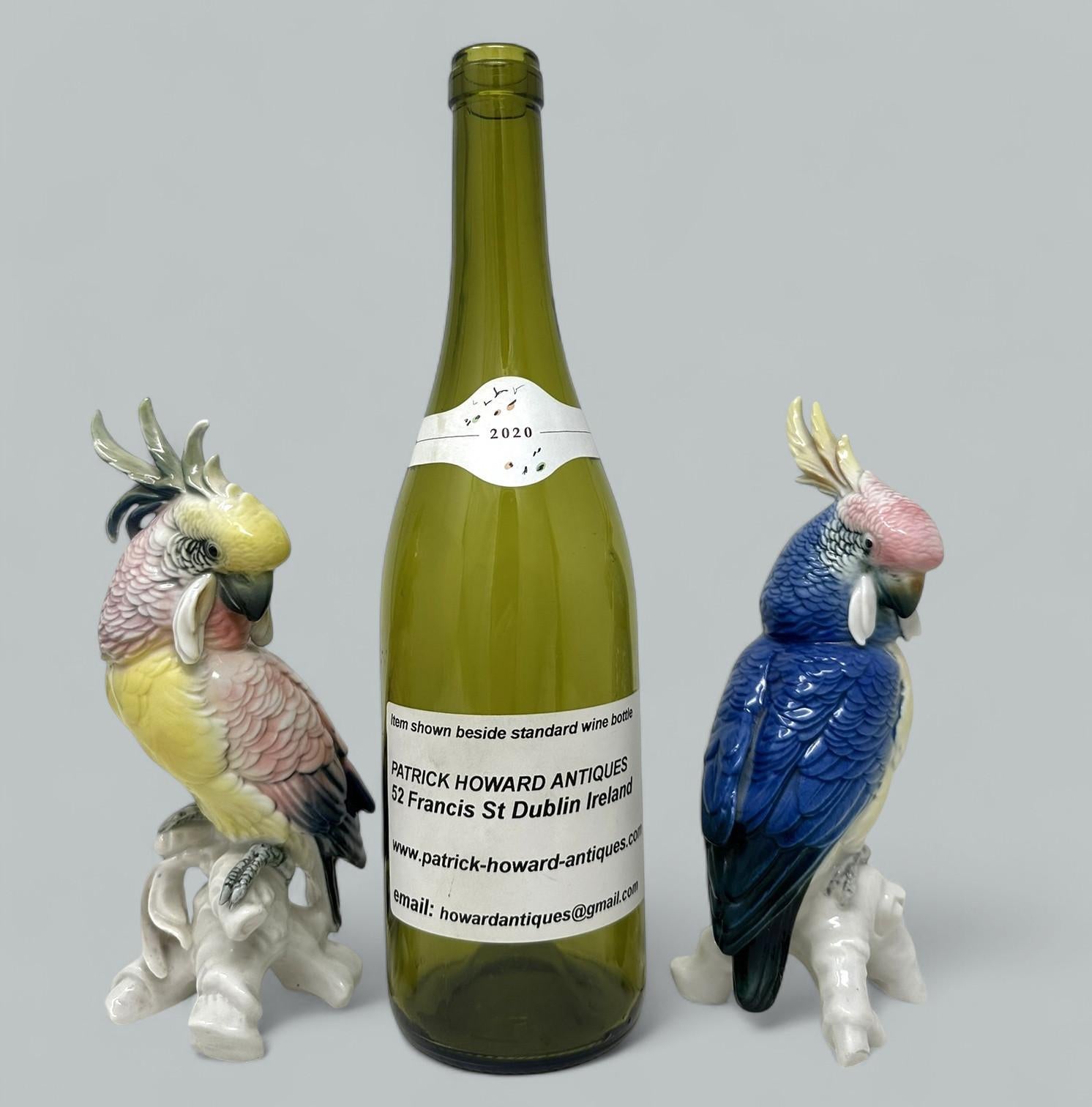 Pareja Aves Porcelana Alemana Antigua Periquitos Cacatúas Cacatúas Loros Karl Ens en venta 1