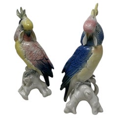 Pareja Aves Porcelana Alemana Antigua Periquitos Cacatúas Cacatúas Loros Karl Ens