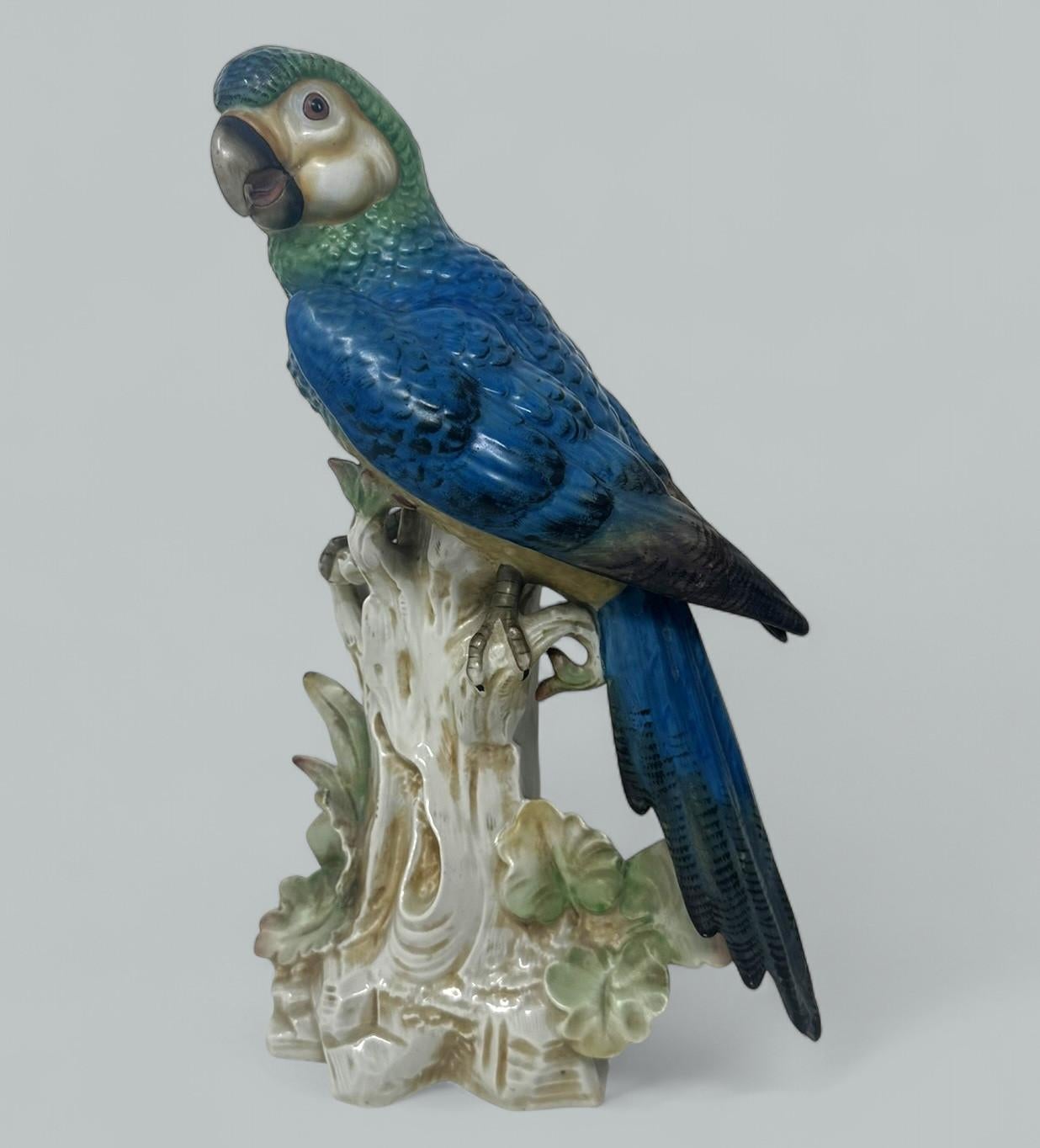 Ein Paar antike deutsche Porzellanvögel, Parakeets, Kockrels, Kockatoos, Papageien, 19 Karat (Deutsch)