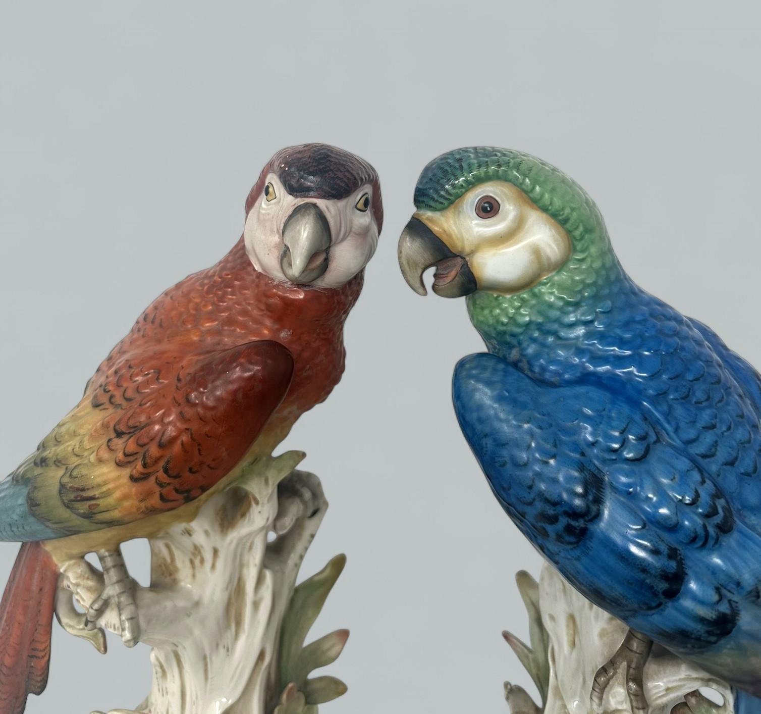 Ein Paar antike deutsche Porzellanvögel, Parakeets, Kockrels, Kockatoos, Papageien, 19 Karat im Zustand „Gut“ in Dublin, Ireland
