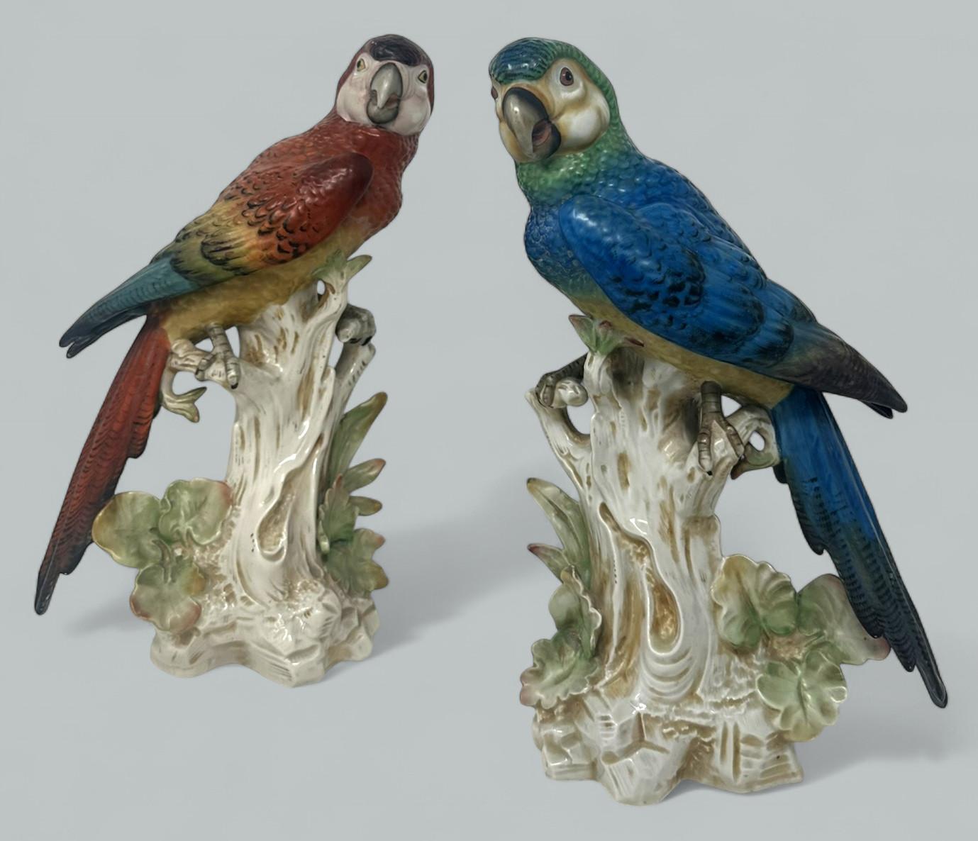 Ein Paar antike deutsche Porzellanvögel, Parakeets, Kockrels, Kockatoos, Papageien, 19 Karat (20. Jahrhundert)
