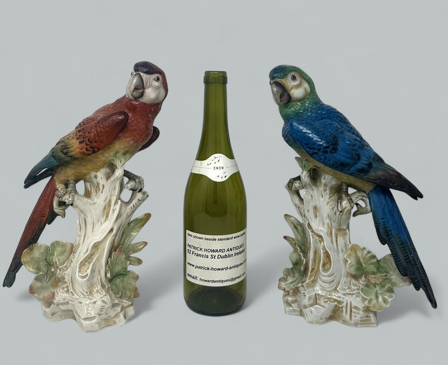 Ein Paar antike deutsche Porzellanvögel, Parakeets, Kockrels, Kockatoos, Papageien, 19 Karat 2