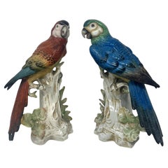 Ein Paar antike deutsche Porzellanvögel, Parakeets, Kockrels, Kockatoos, Papageien, 19 Karat