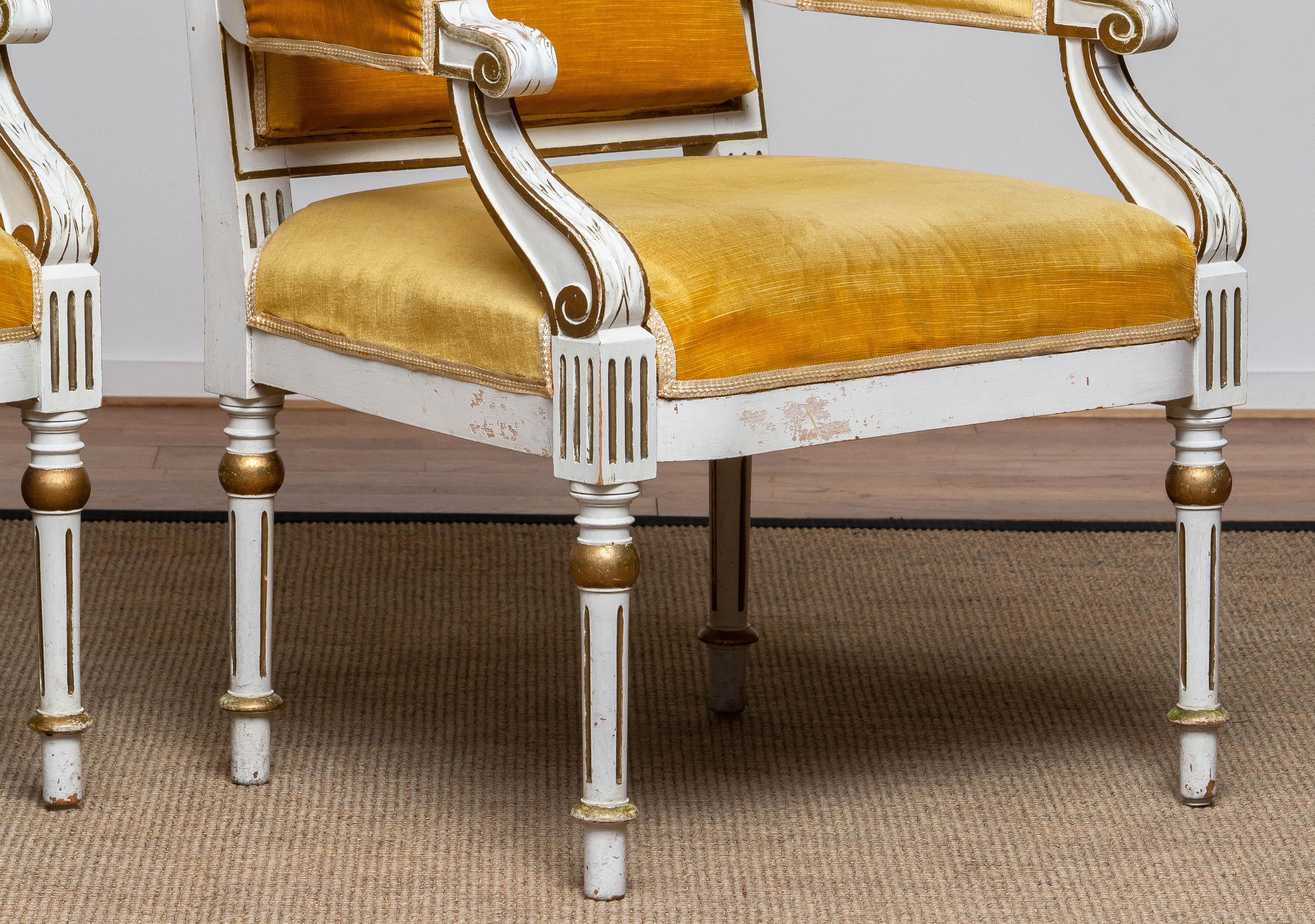 Swedish Pair Antique Louis XVI Armchairs White Frame With Golden Velvet Fabric. Sweden For Sale