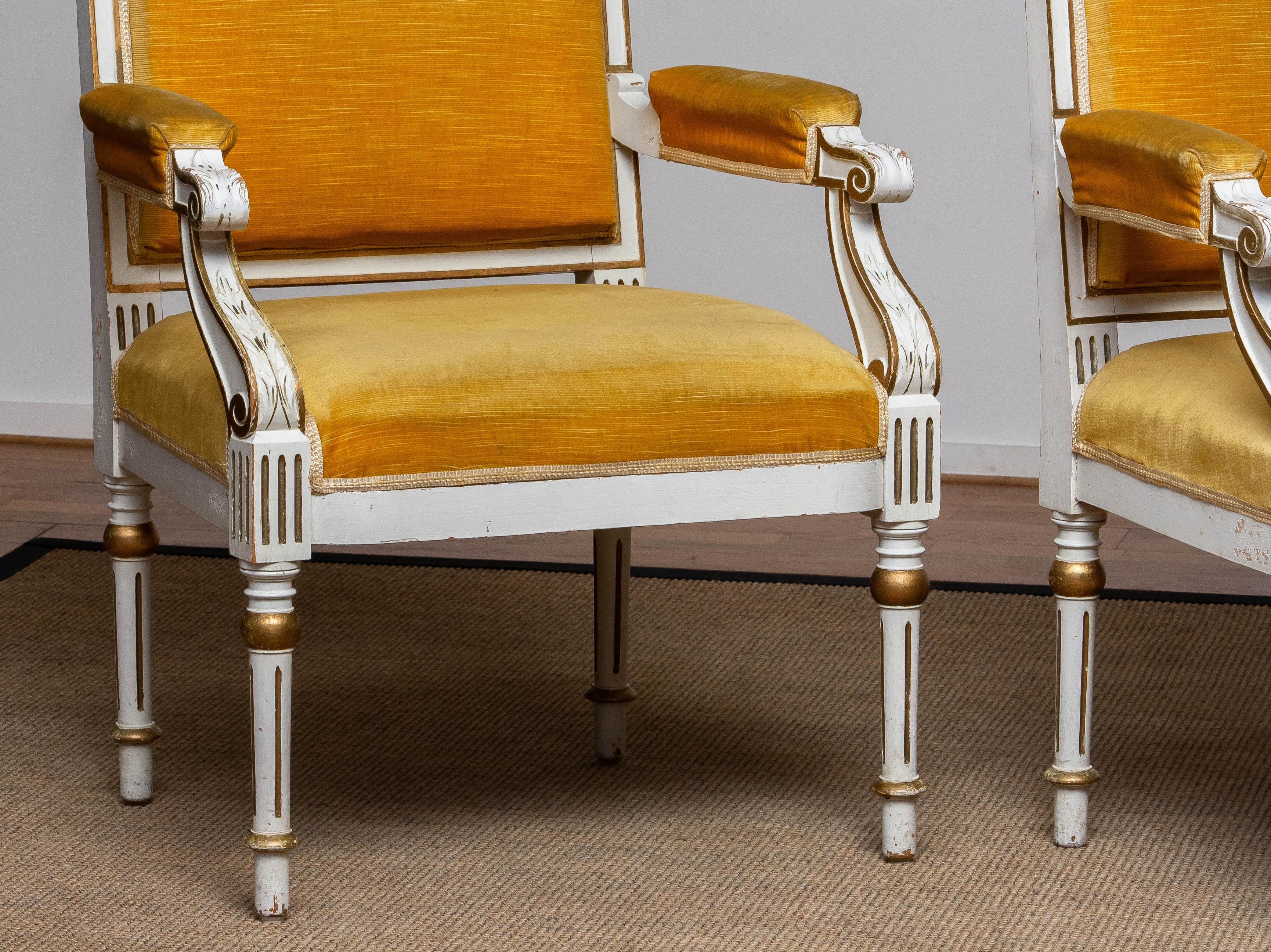 Pair Antique Louis XVI Armchairs White Frame With Golden Velvet Fabric. Sweden In Good Condition For Sale In Silvolde, Gelderland
