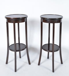 Pair Antique Mahogany Birch Wood Plant Stands Jardinières Torchiere English 1900