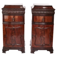 Pair Vintage Mahogany carved Pedestal Cupboards