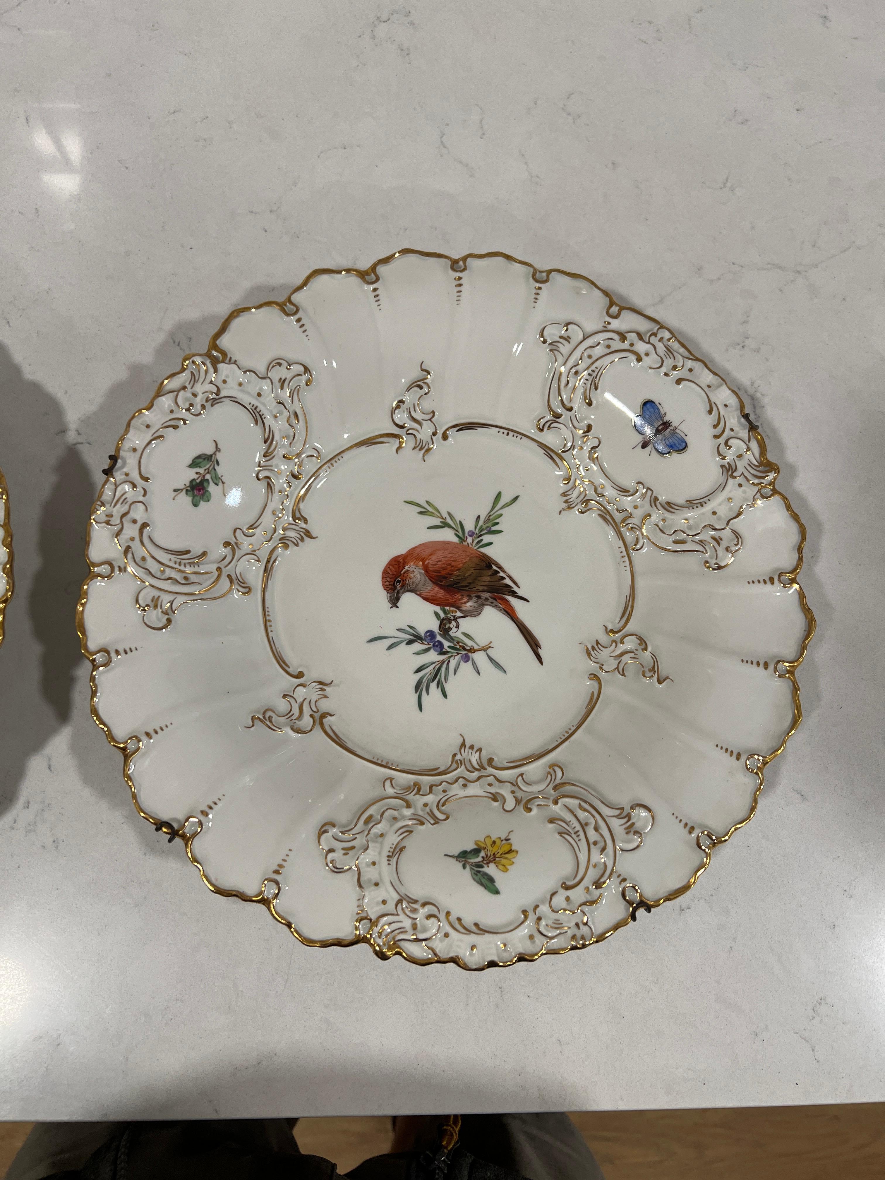 Meissen (deutsch, gegründet 1710), 20. Jahrhundert.

Ein Paar feiner Porzellanteller, die zwei handgemalte Vögel darstellen. Jeder zentrale Vogel, der auf einem Zweig sitzt, ist von einer feinen Vergoldung und drei Fenstern umgeben (zwei davon