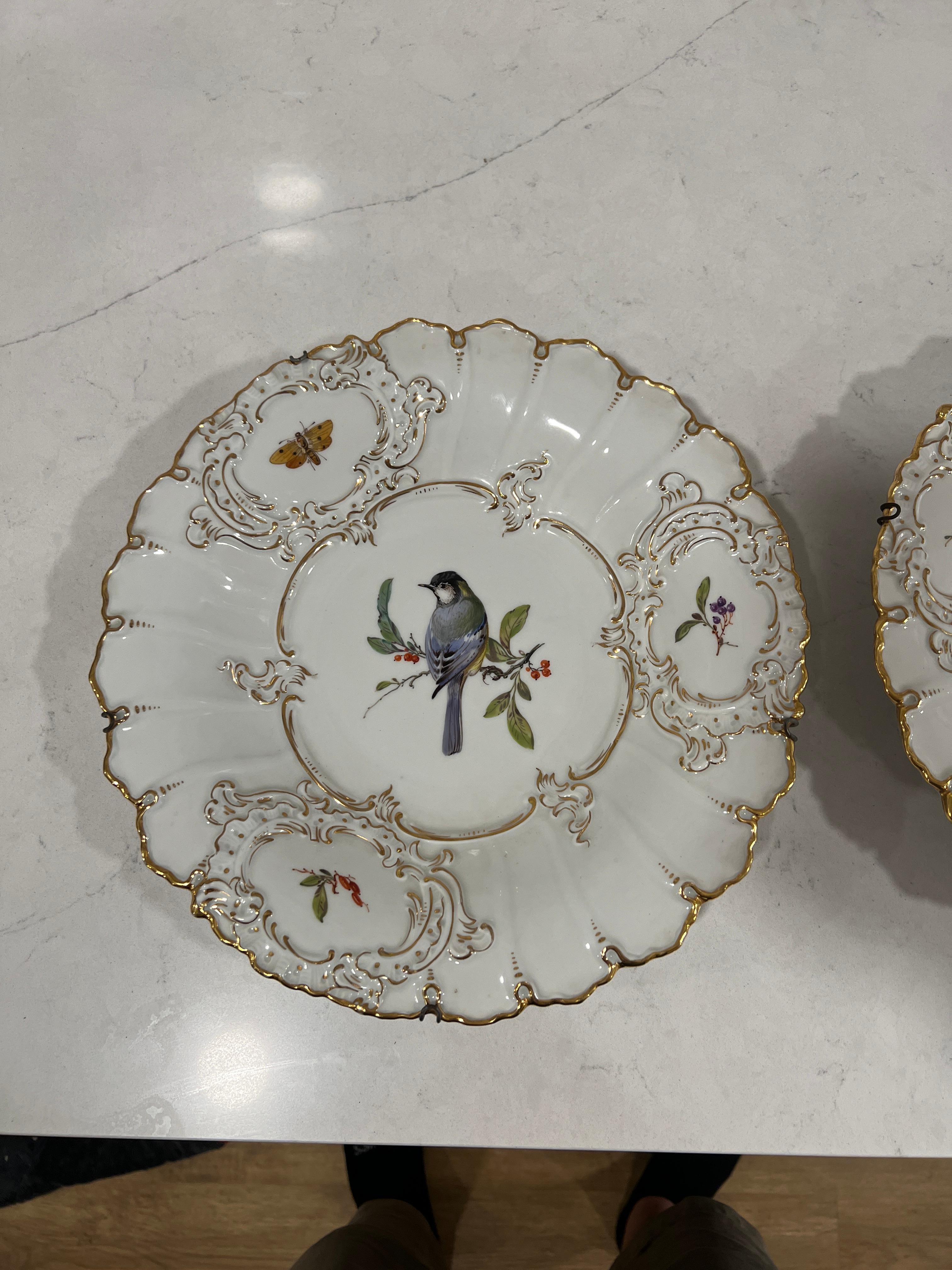 Paar, antike Meissen Porcelain Ornithological & Gold Encrusted Chargers (Ästhetizismus) im Angebot