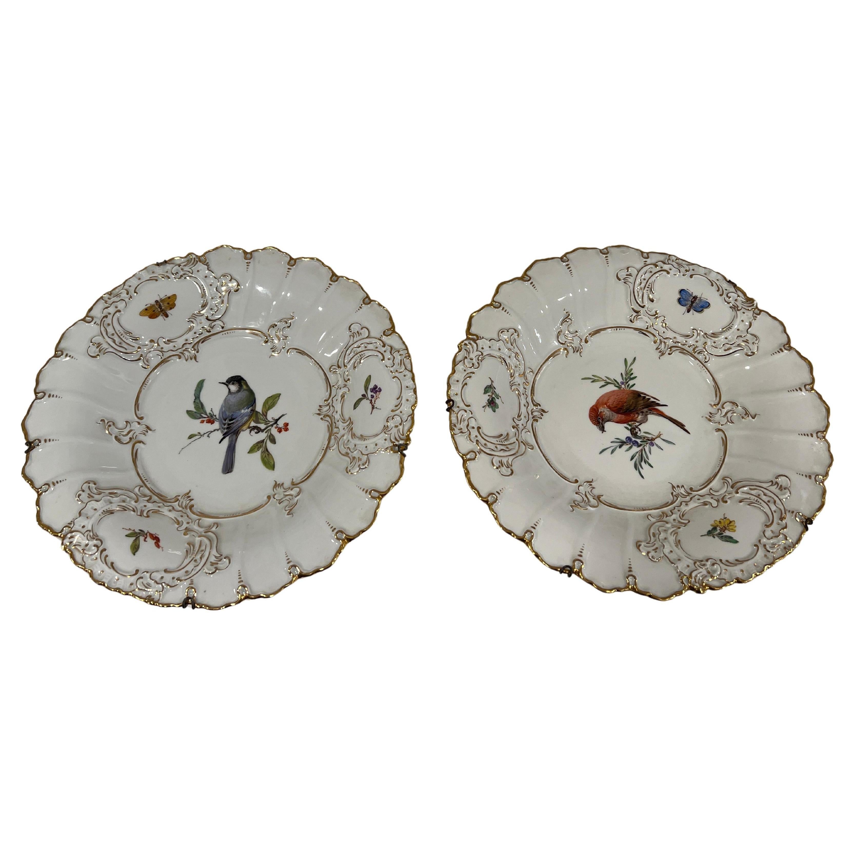 Pair, Antique Meissen Porcelain Ornithological & Gold Encrusted Chargers For Sale