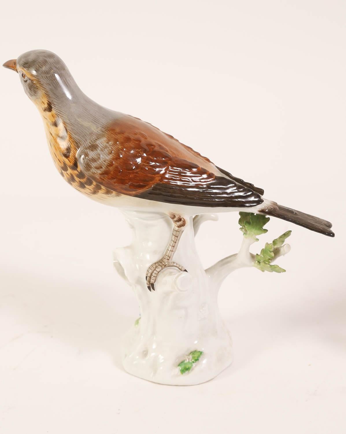 20th Century Pair Antique Meissen Thrush Bird Porcelain Figurines