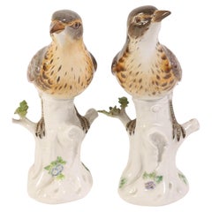 Paire de figurines anciennes en porcelaine de Meissen Thrush Bird