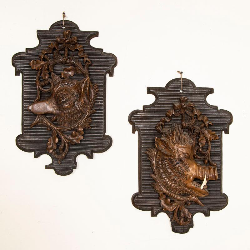 The incredible carved detail is what grabs your attention in this pair of mounted black forest carvings, one a wild boar and the other a fox. Note the carved texture of the fur and traditional oak leaf encircling each. Both are mounted on a carved