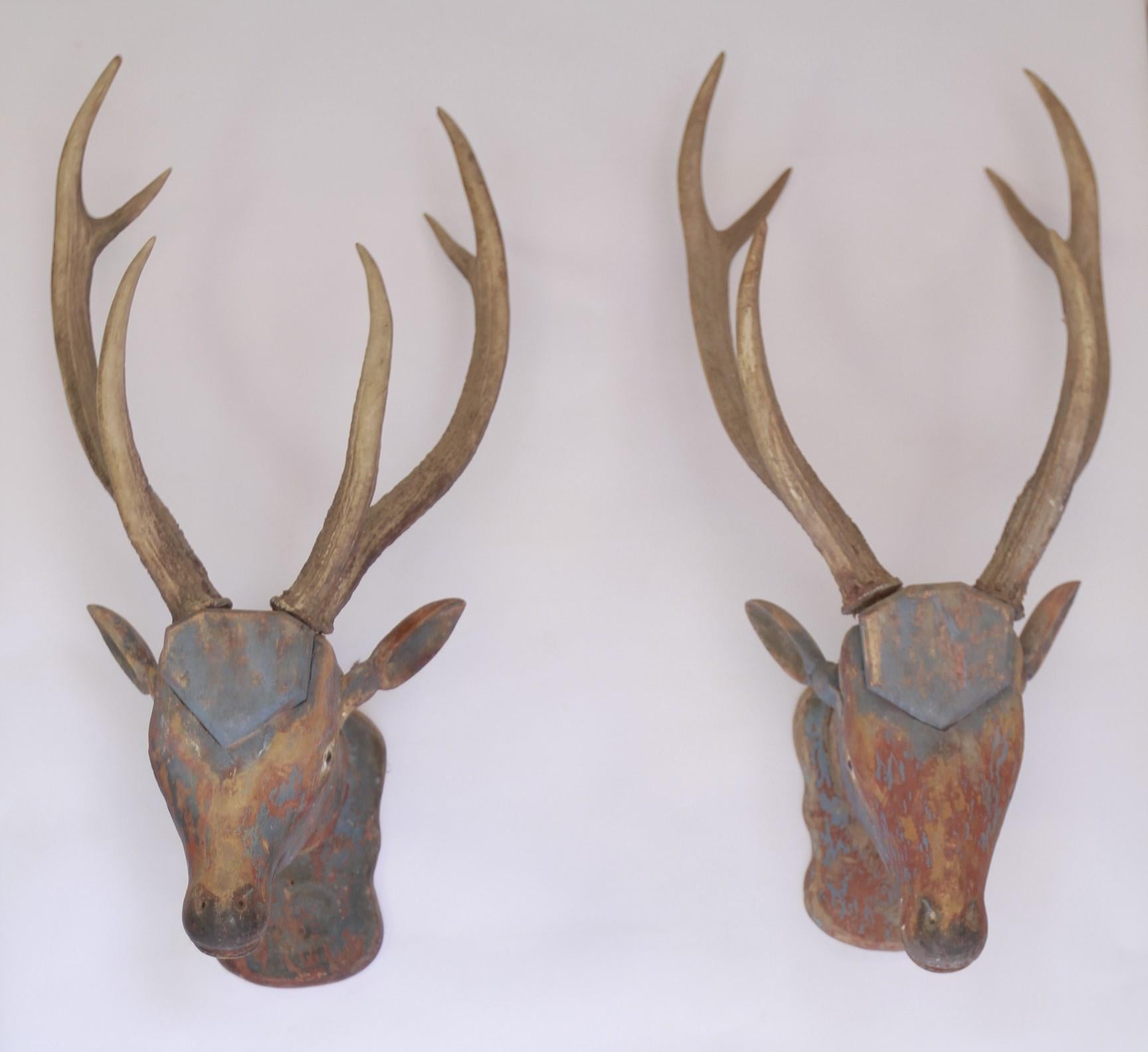 Pair Antique Pine & Polychromed painted Deer Heads
Carved heads, with Antlers placed on top, 
Shields on foreheads, 
Glass eyes, one replaced recently, 
Pair Ears on one Recently replaced, painted blue to match
Original blue polychrome paint 
carved