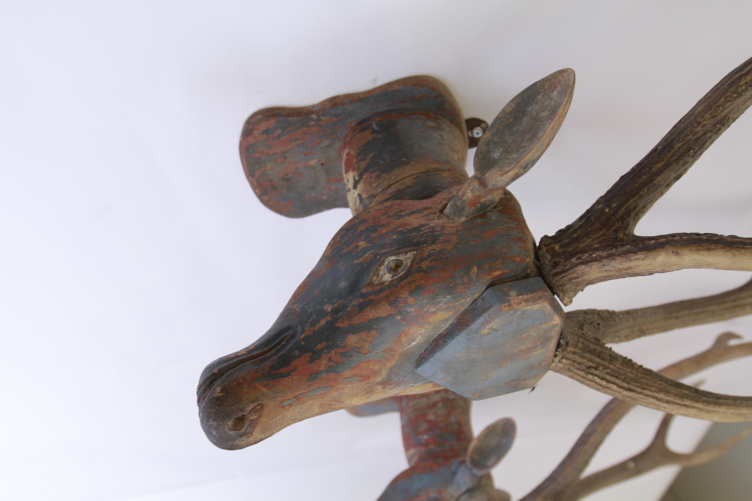 Pair Antique Pine & Polychromed painted Deer Heads For Sale 2