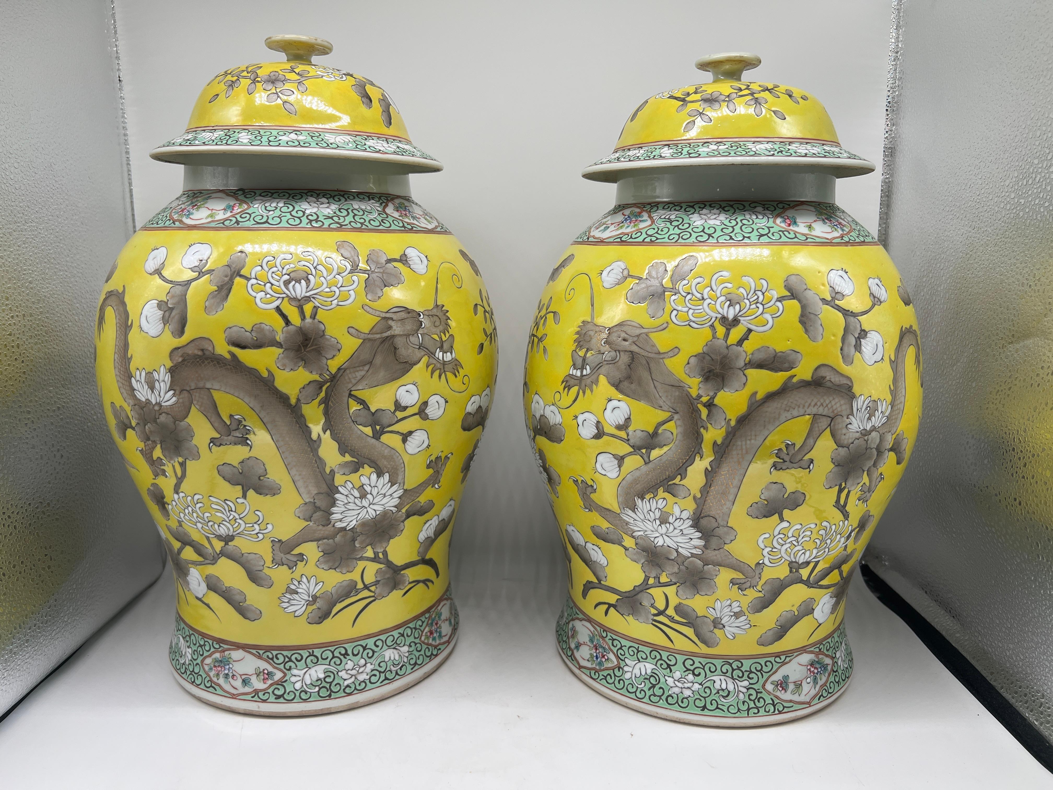 Qing Dynasty, we believe to be early 20th century but buyer determines. 

An great quality pair of Chinese famille Jaune covered jars with double sided painted dragons amongst flowers and shrubbery. These beautiful jars have been meticulously