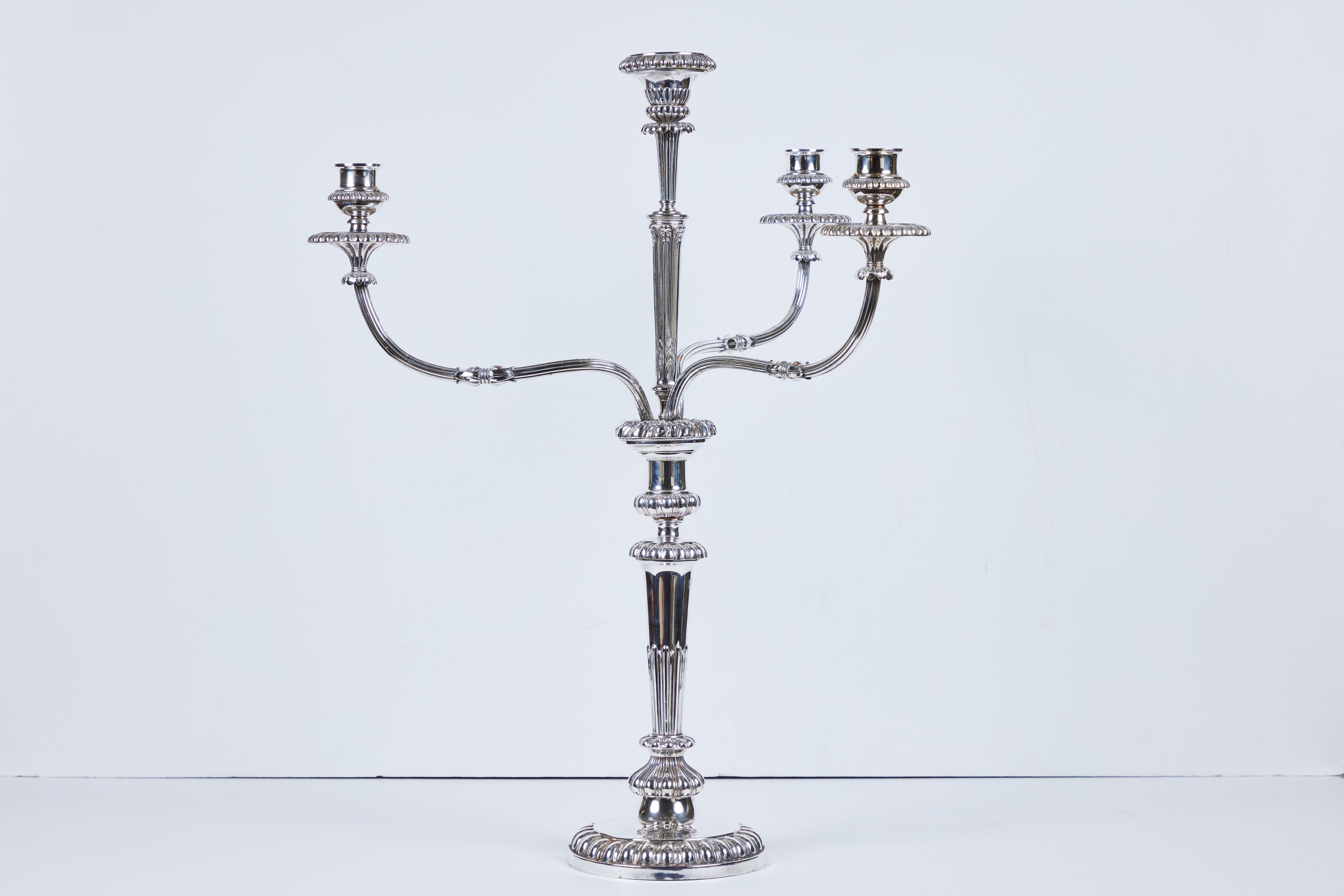 A large, elegant pair of silver plated Sheffield 3 arm candelabra with beautiful movement.