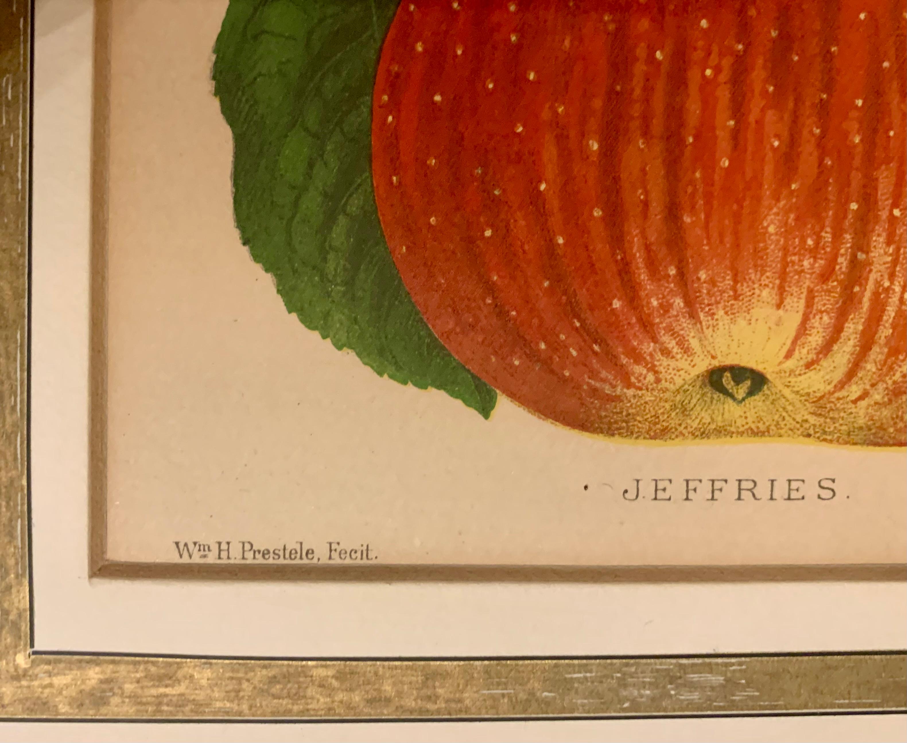 Paar antike Wm. H. Prestele Pomologische Apfel- und Pfirsichdrucke, 1887-1888 im Angebot 4