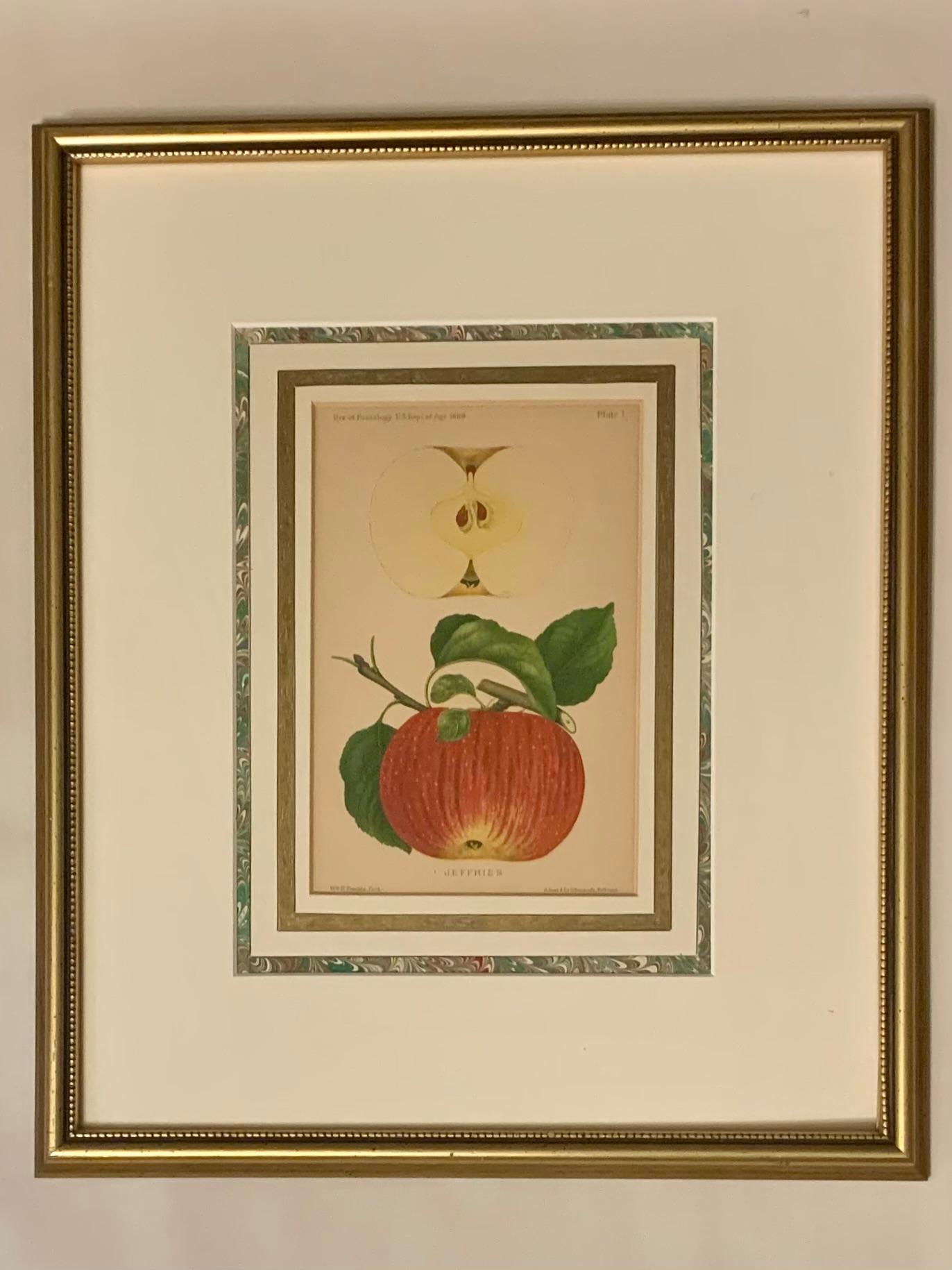 Paar antike Wm. H. Prestele Pomologische Apfel- und Pfirsichdrucke, 1887-1888 (amerikanisch) im Angebot