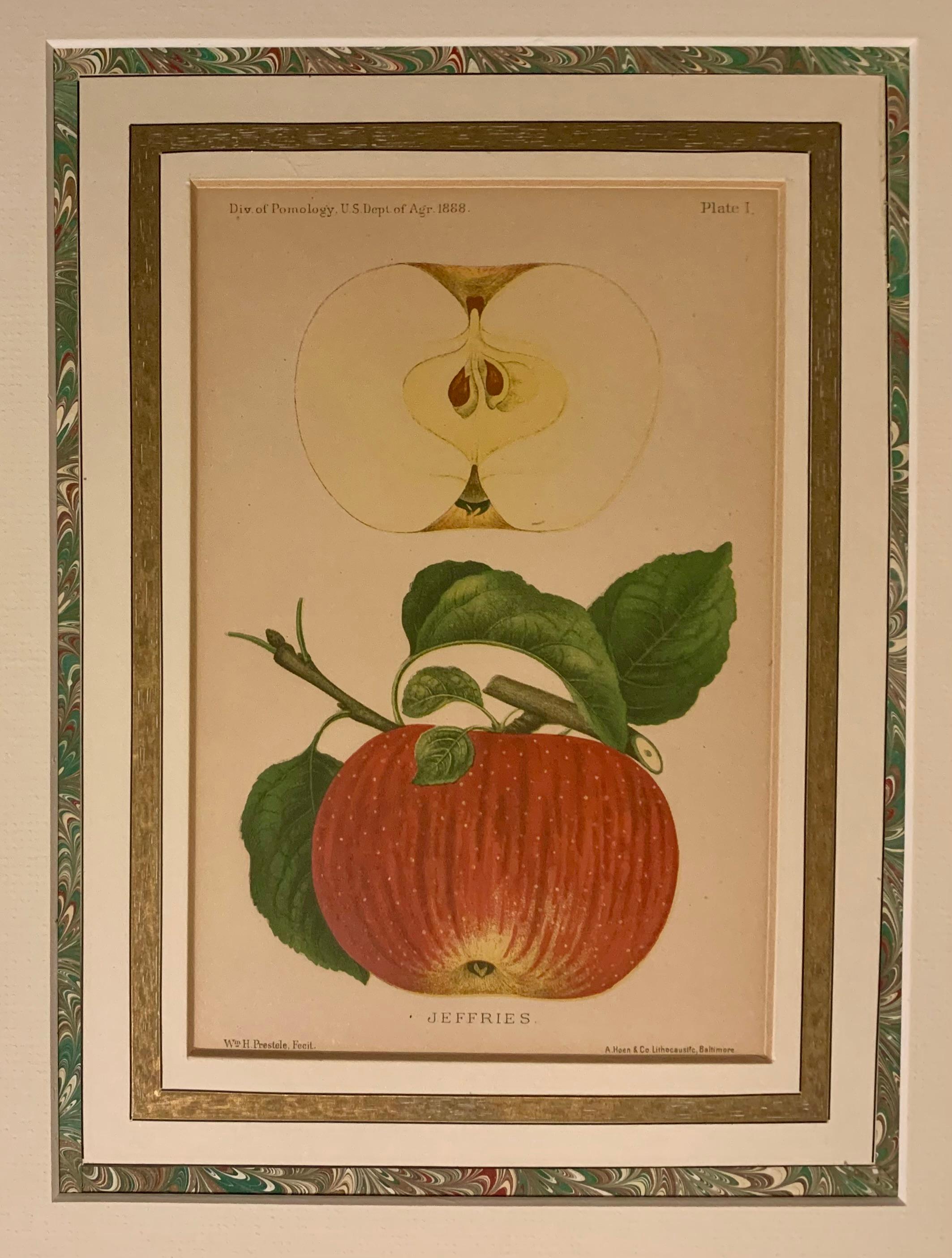 Paar antike Wm. H. Prestele Pomologische Apfel- und Pfirsichdrucke, 1887-1888 (19. Jahrhundert) im Angebot
