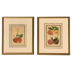 Paar antike Wm. H. Prestele Pomologische Apfel- und Pfirsichdrucke, 1887-1888