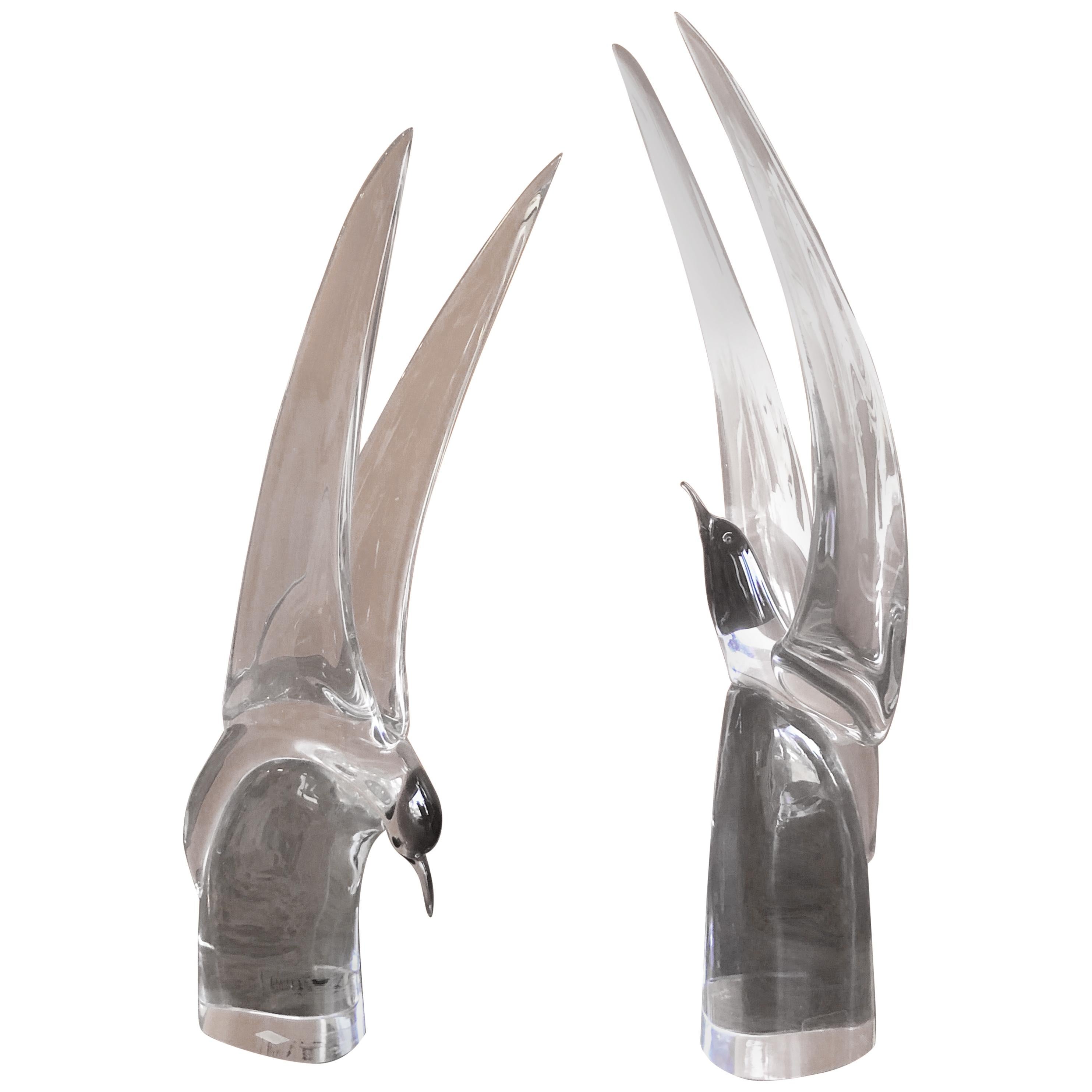 Pair of Art Glass Terns/Sea Gulls by Livio Seguso for Murano Glass Studios
