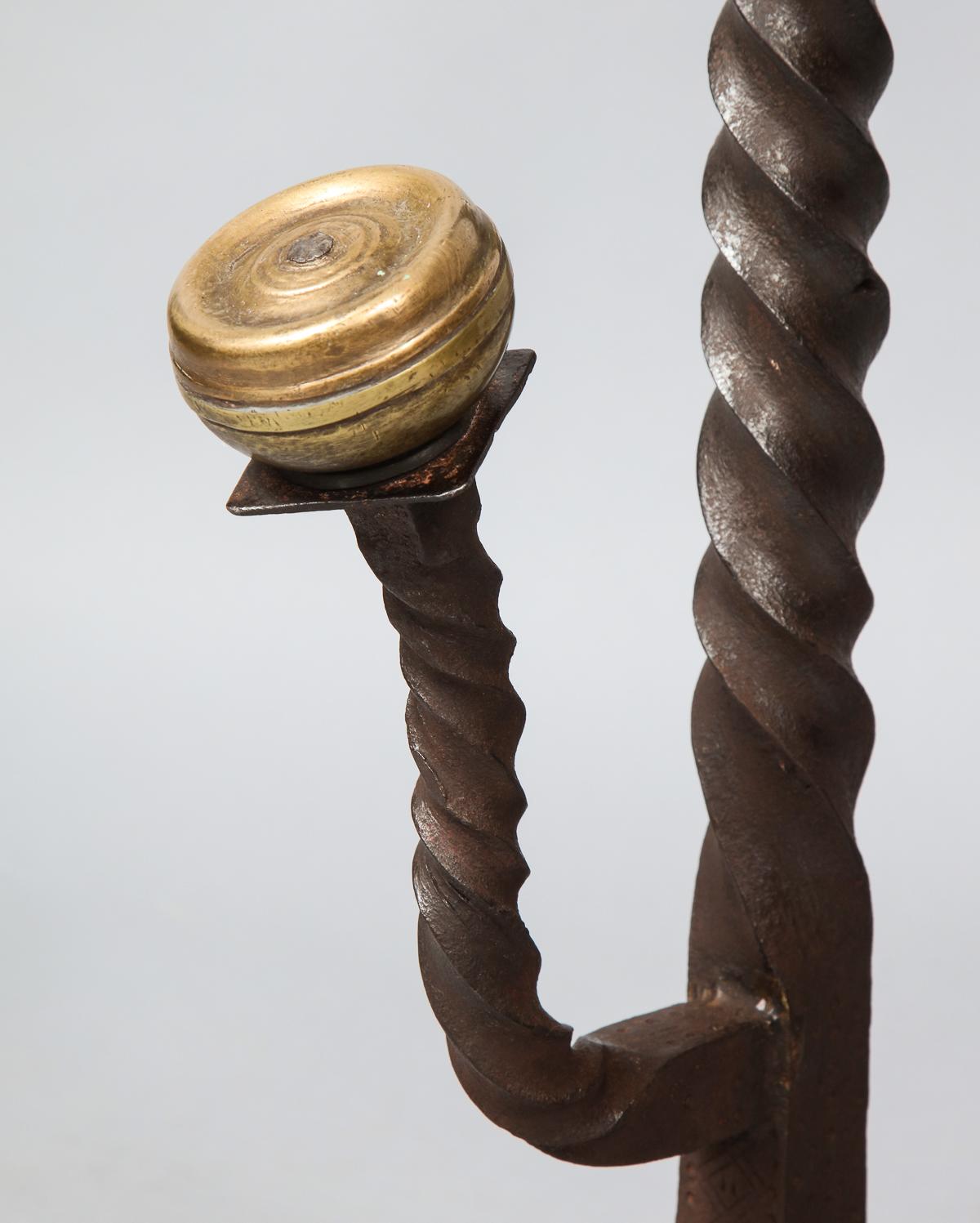 Bronze Paire de chenets baroques en bronze et fer en vente
