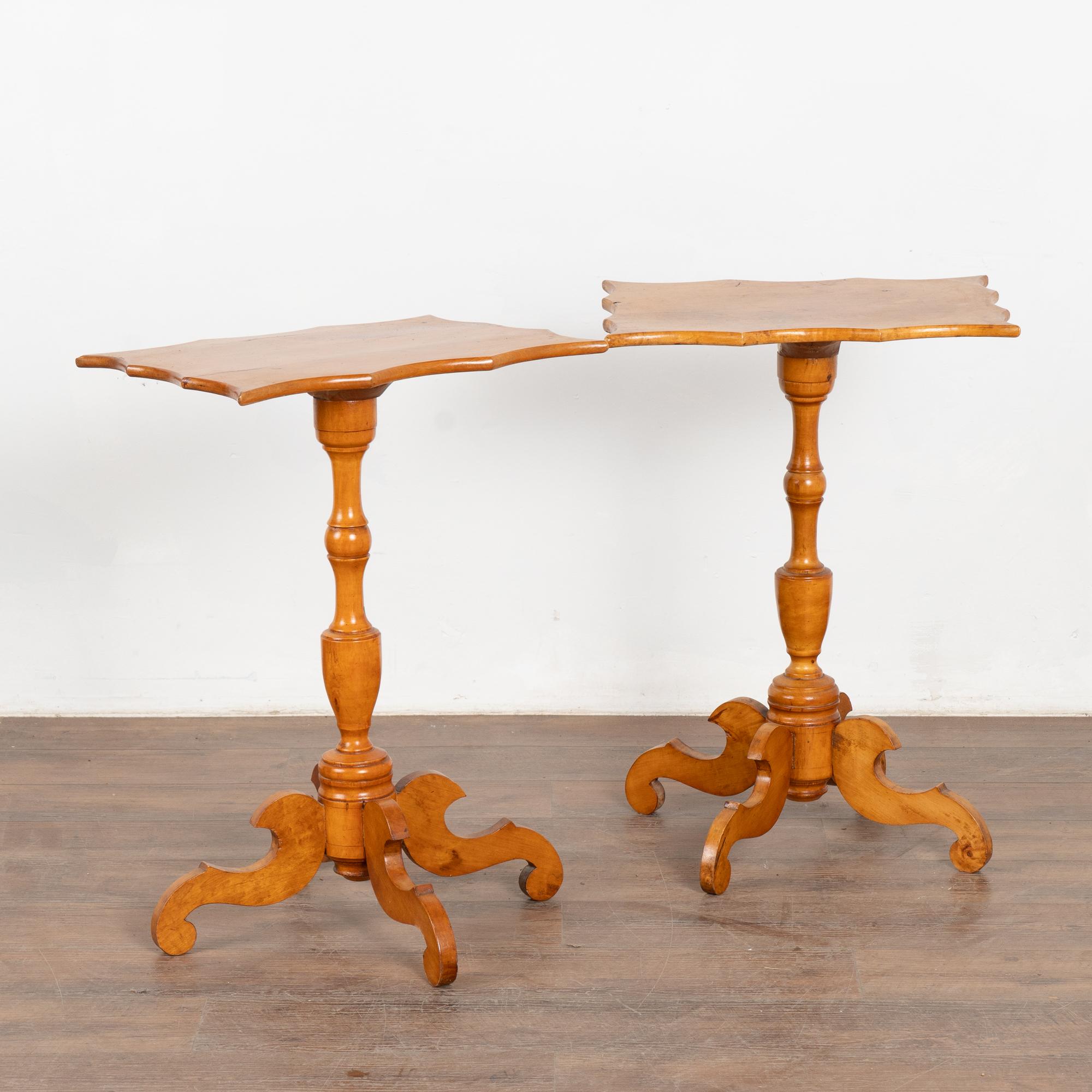 Es la llamativa madera de abedul lo que atrae a esta pareja de atractivas mesas auxiliares Biedermeier con pedestal y bordes cóncavos.
Restaurado, fuerte y estable. Aunque los signos de la edad y el uso se aprecian en las manchas viejas, pequeñas